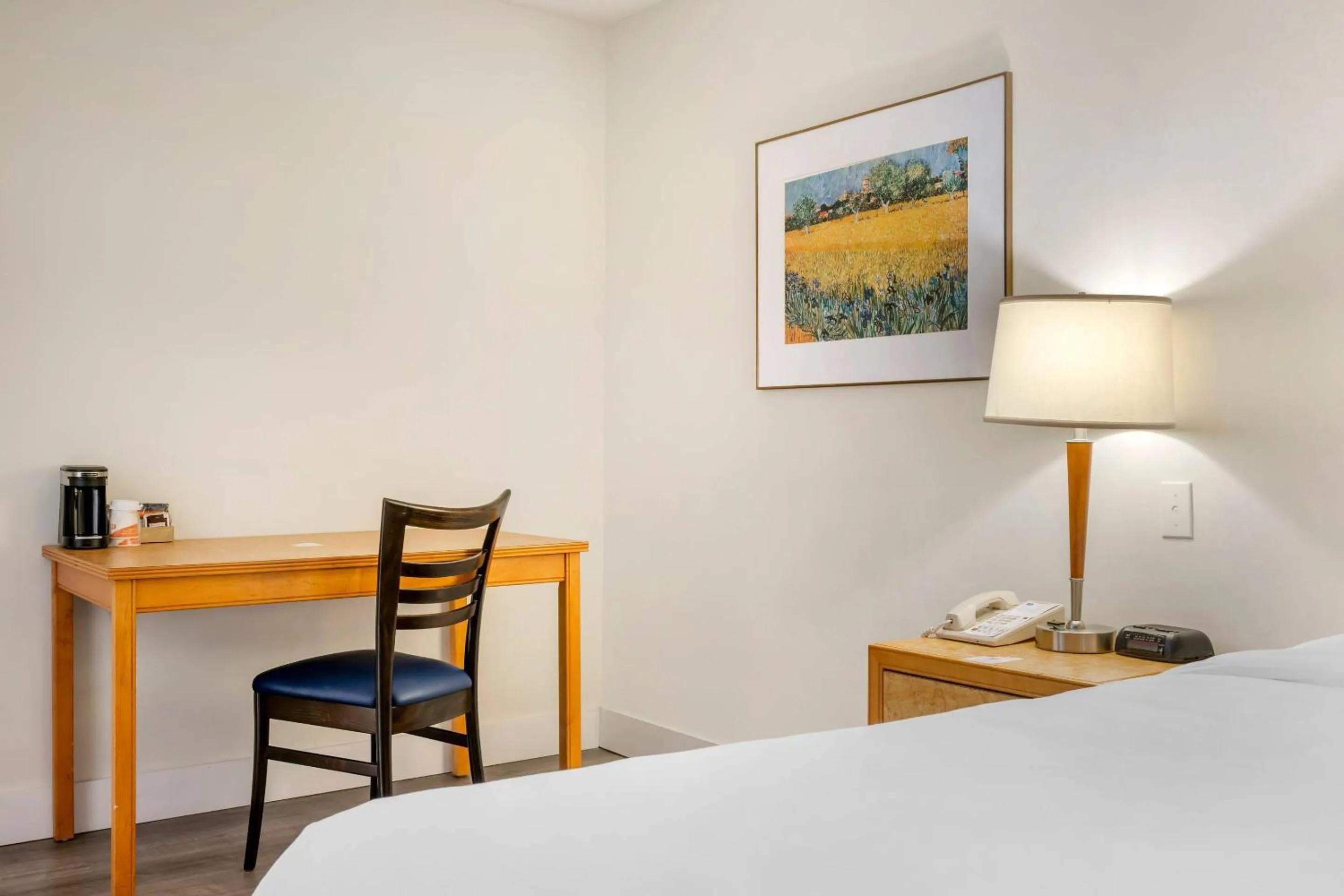 Bedroom, Bed in Rodeway Inn