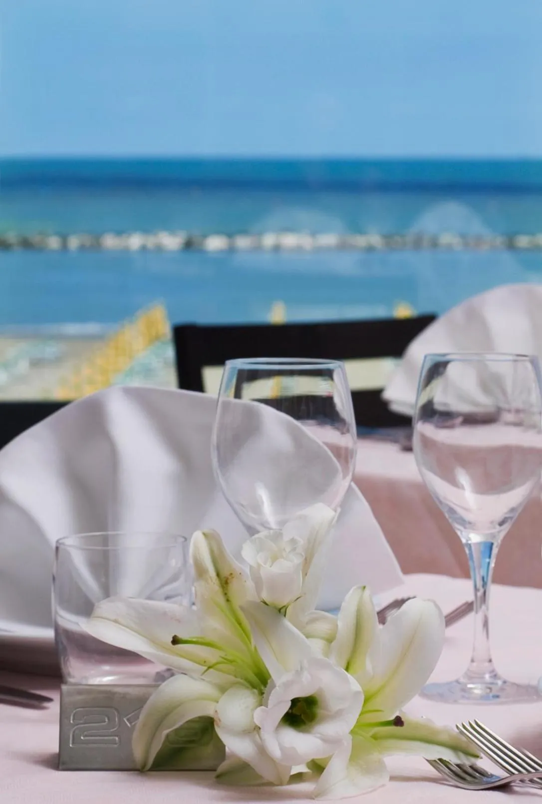 Restaurant/places to eat in Hotel Napoleon