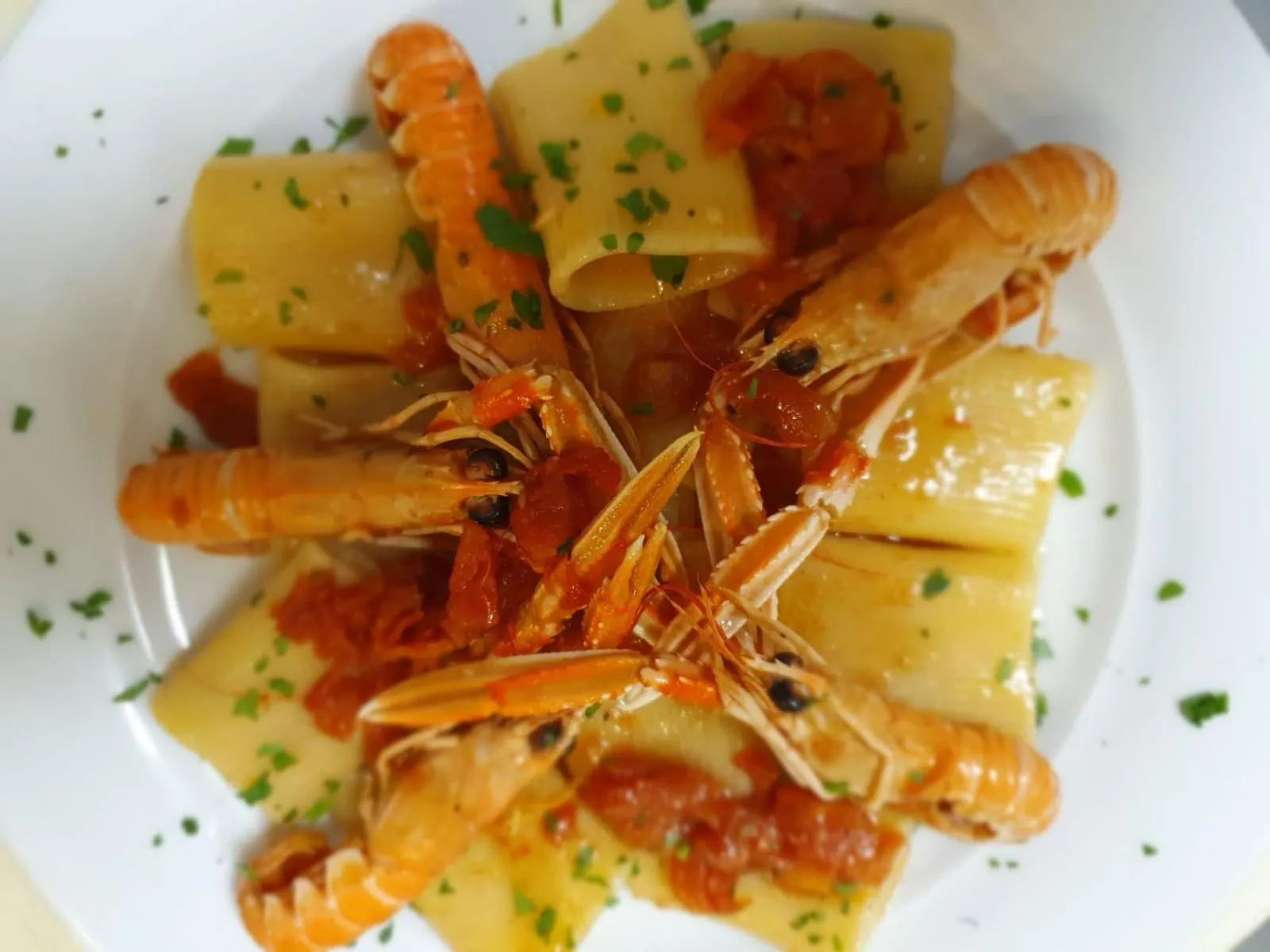 Restaurant/places to eat in Hotel Napoleon