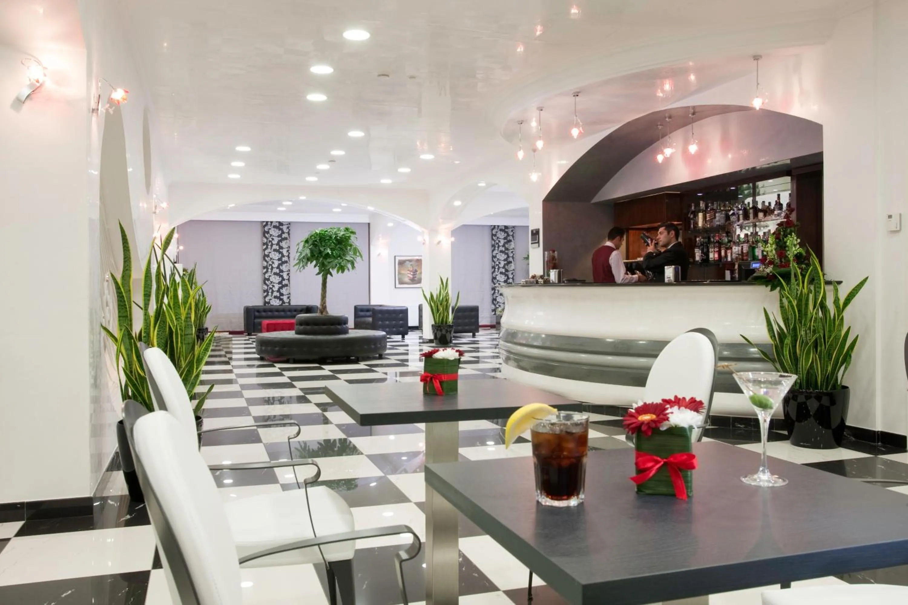 Lounge or bar in L' Araba Fenice Hotel & Resort
