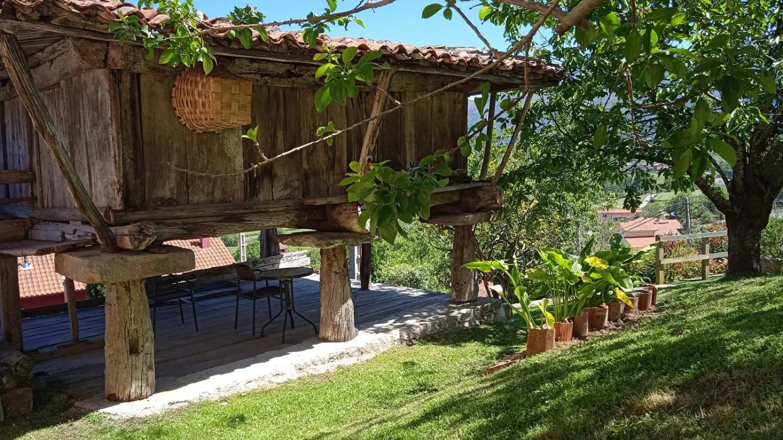 Garden in Hotel La Llosona