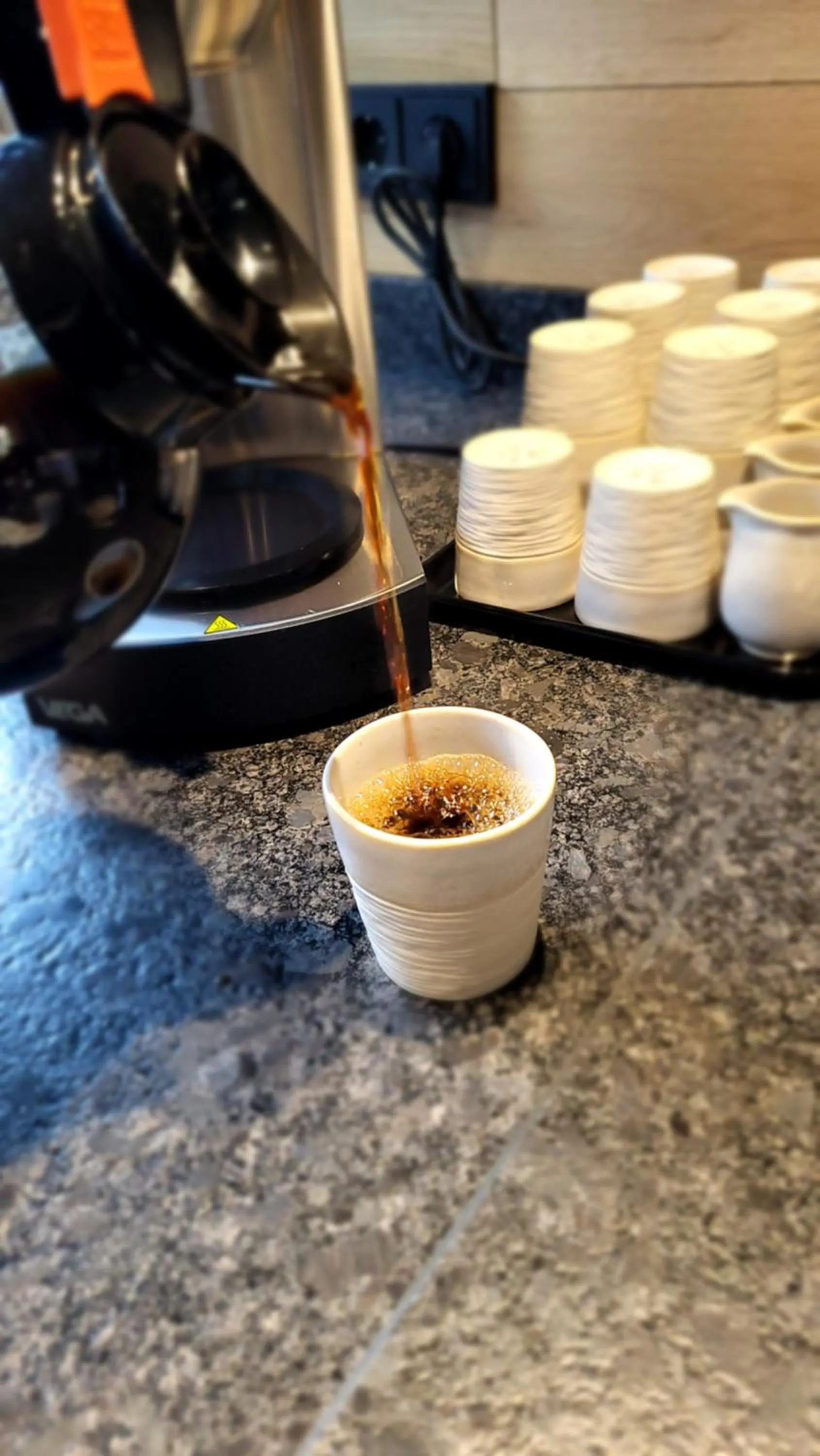 Breakfast in Hotel Gamshag