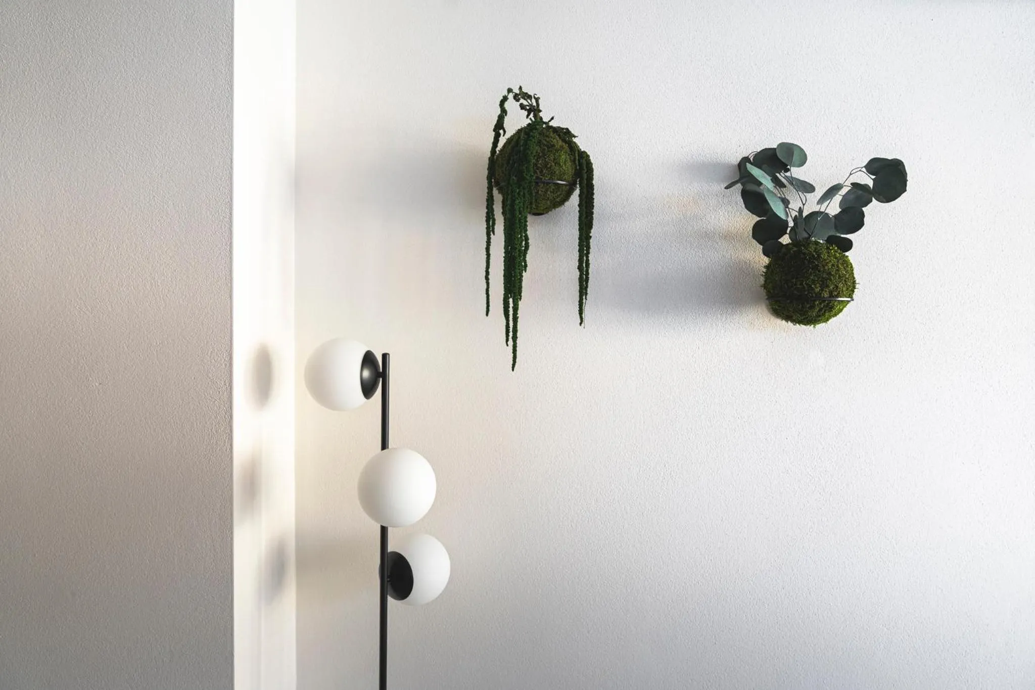 Property building in Hotel Gamshag