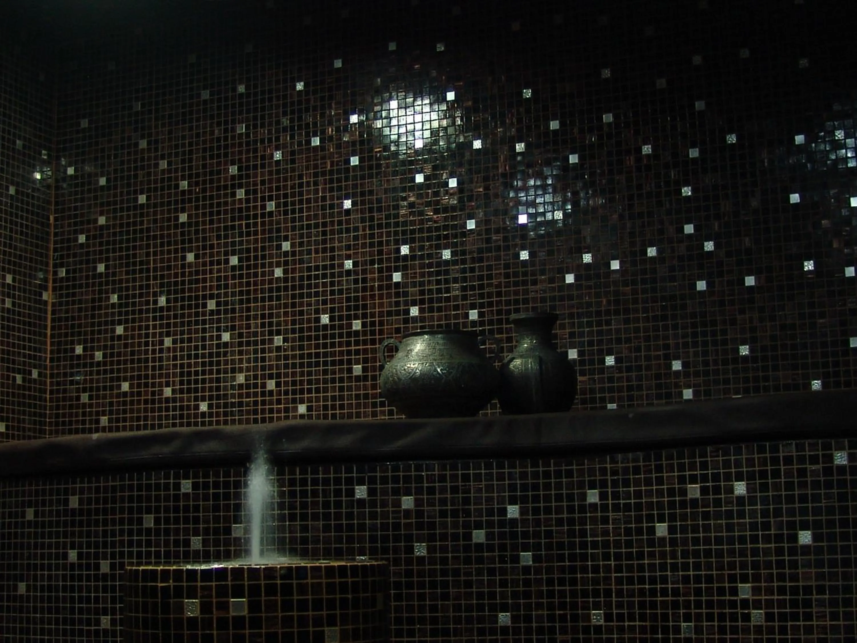 Area and facilities in Hotel Tosco Romagnolo