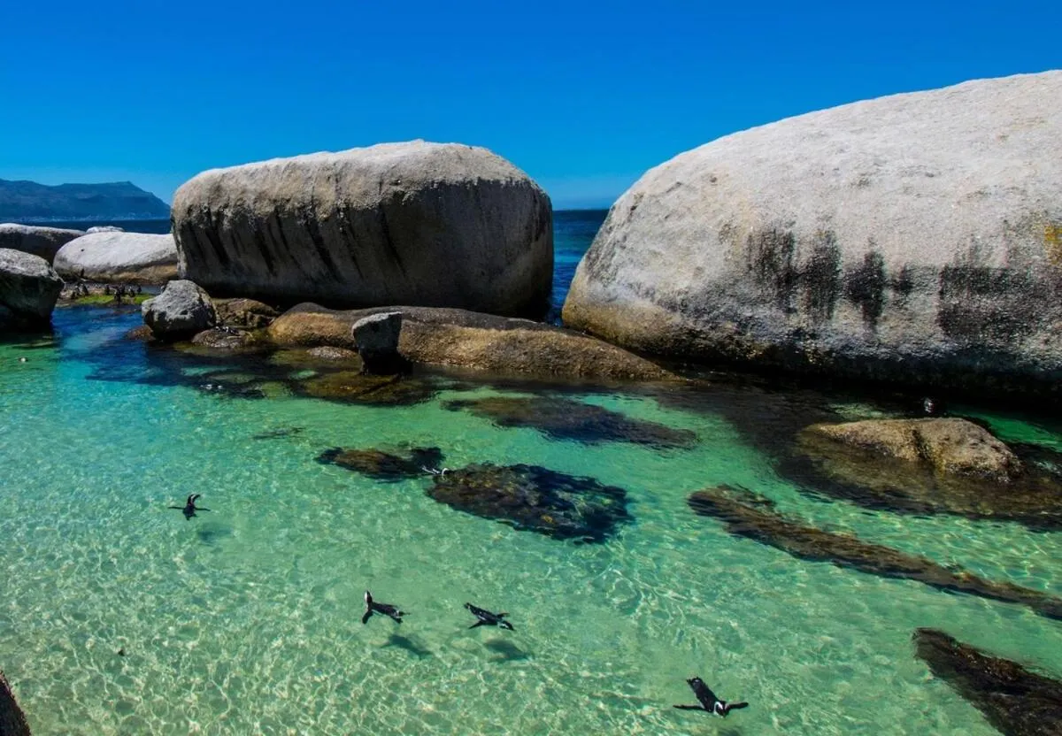 The Willets Boutique Hotel