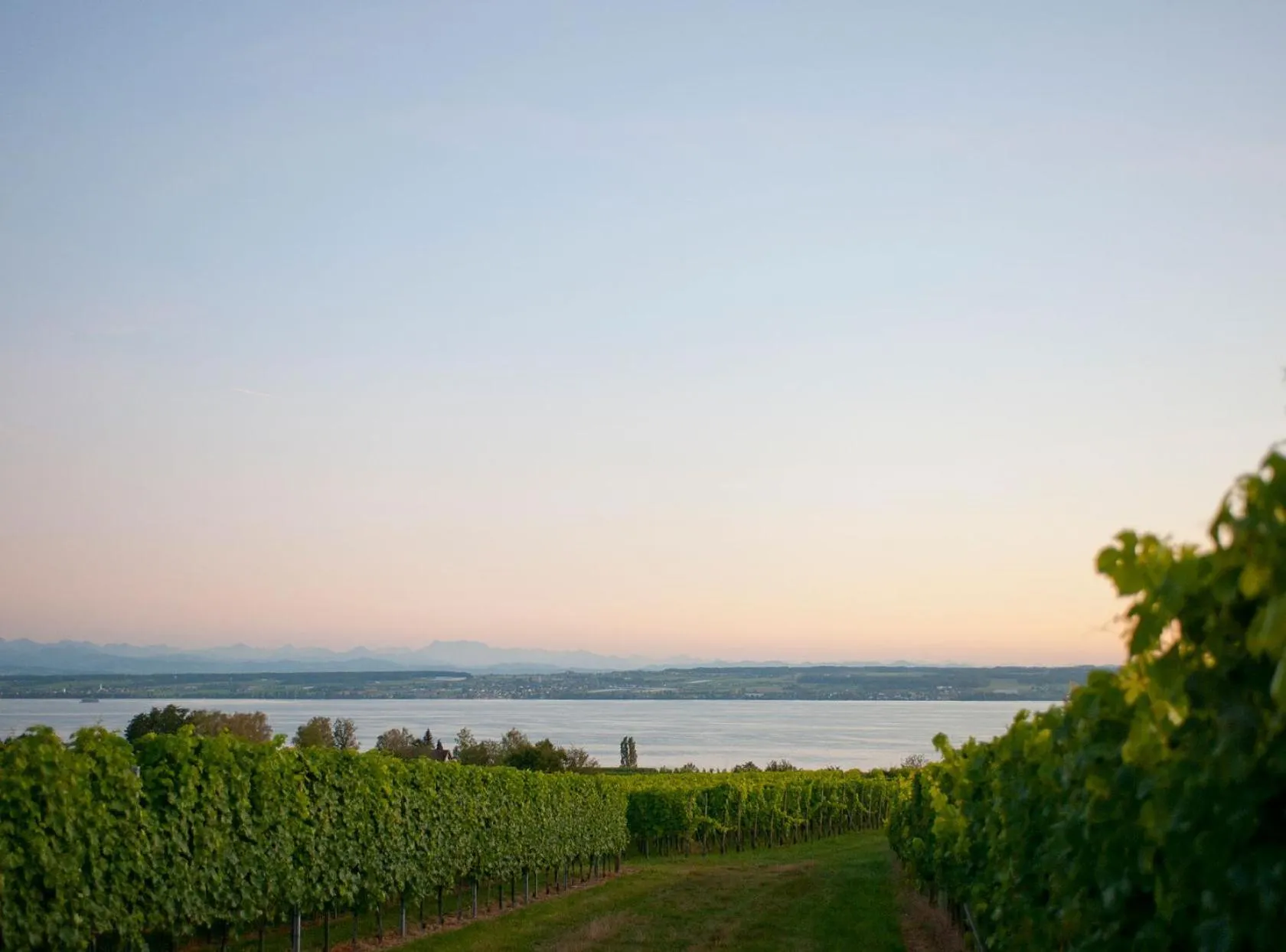 Natural landscape in Hotel Heinzler am See