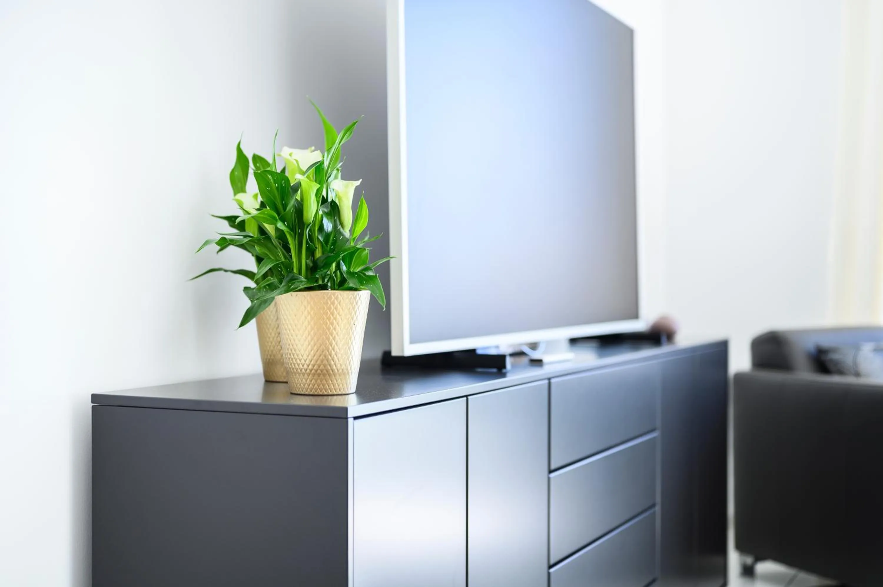 Photo of the whole room in Hotel Heinzler am See