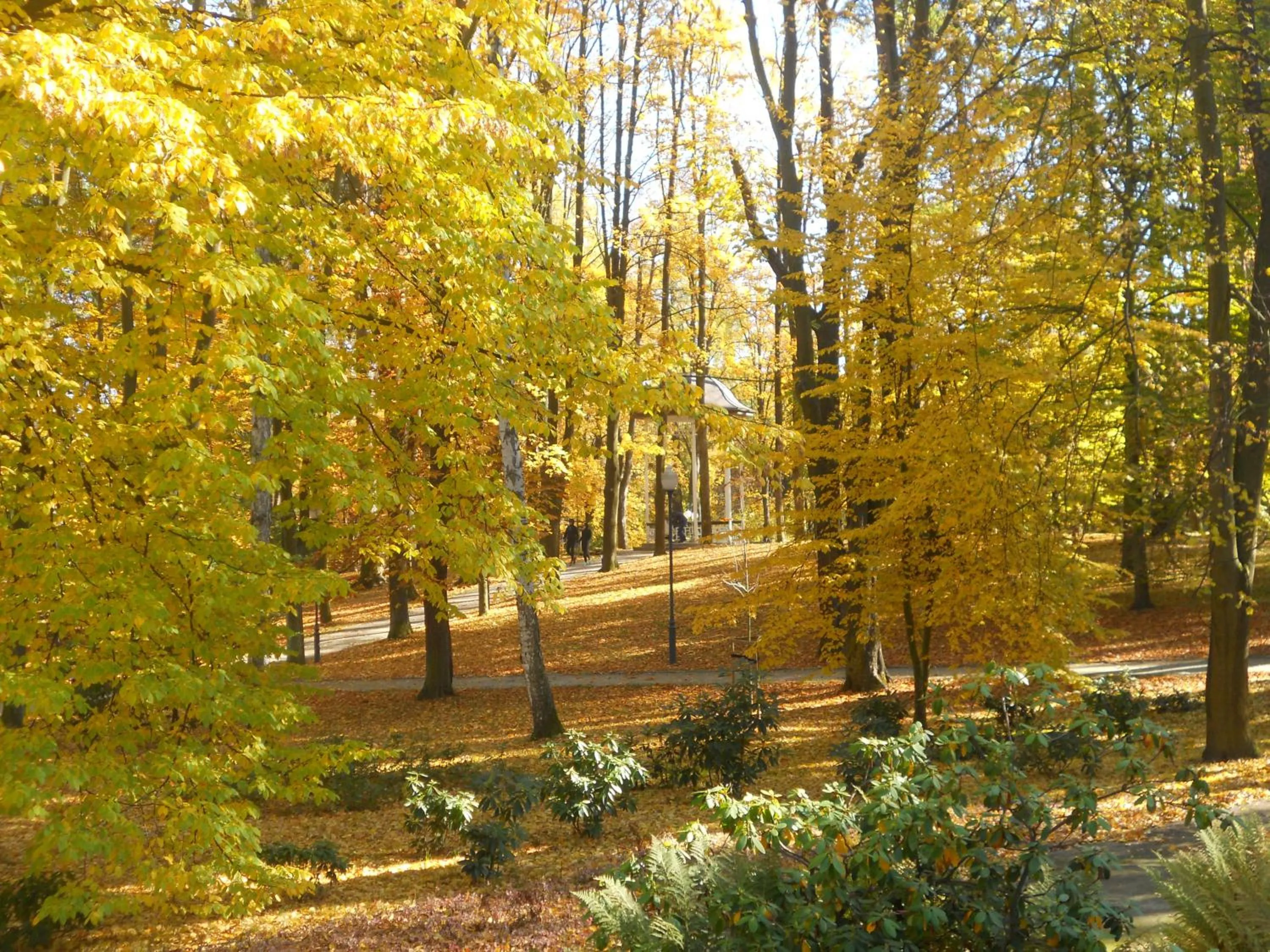 Natural landscape in Villa Lessing