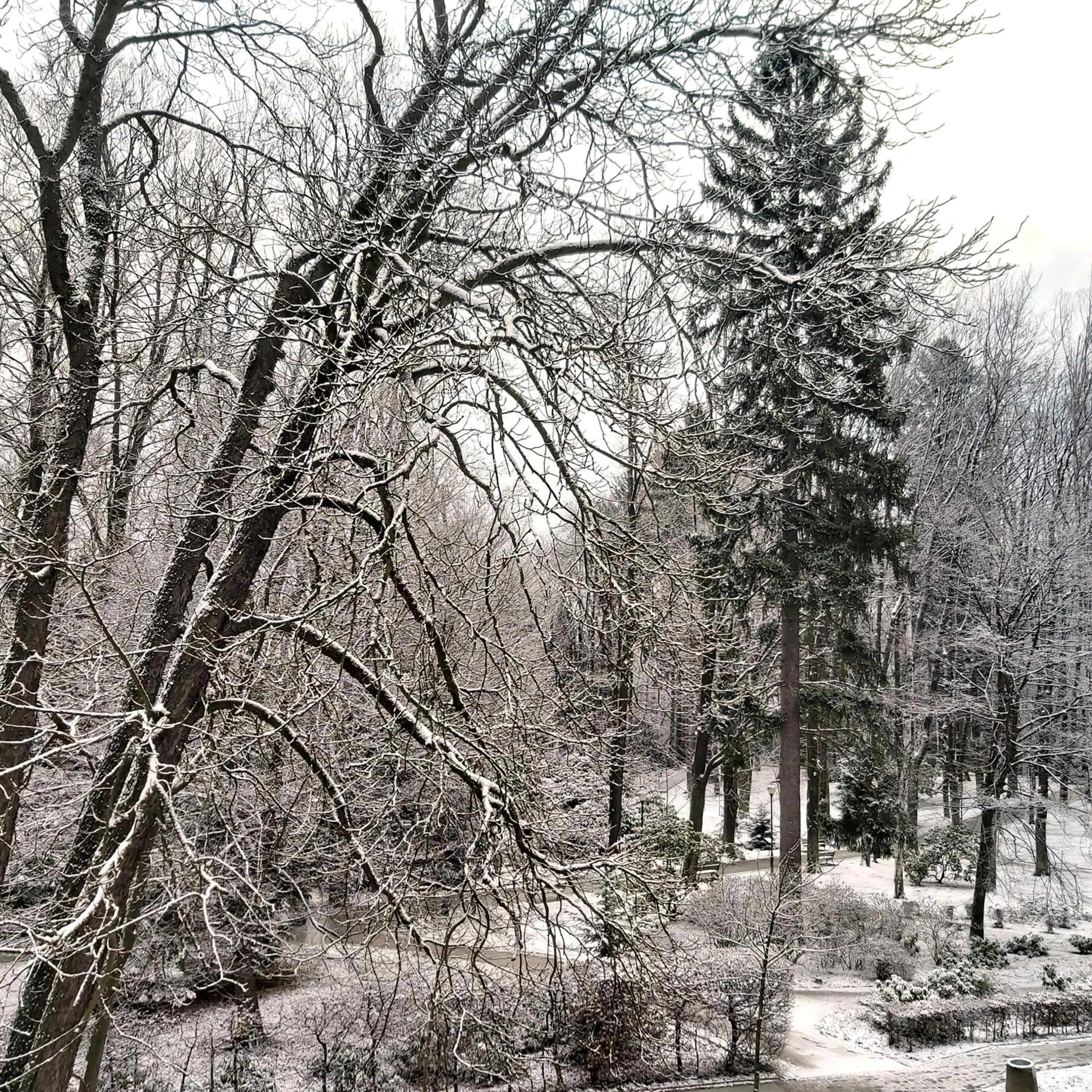 Winter in Villa Lessing