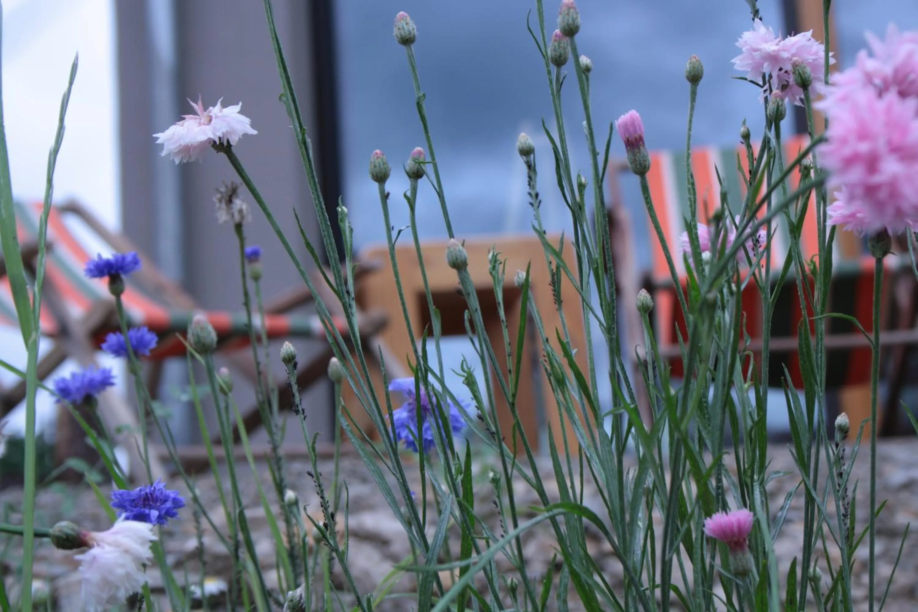 Facade/entrance in veloInn Hotel Bad Berka im Weimarer Land