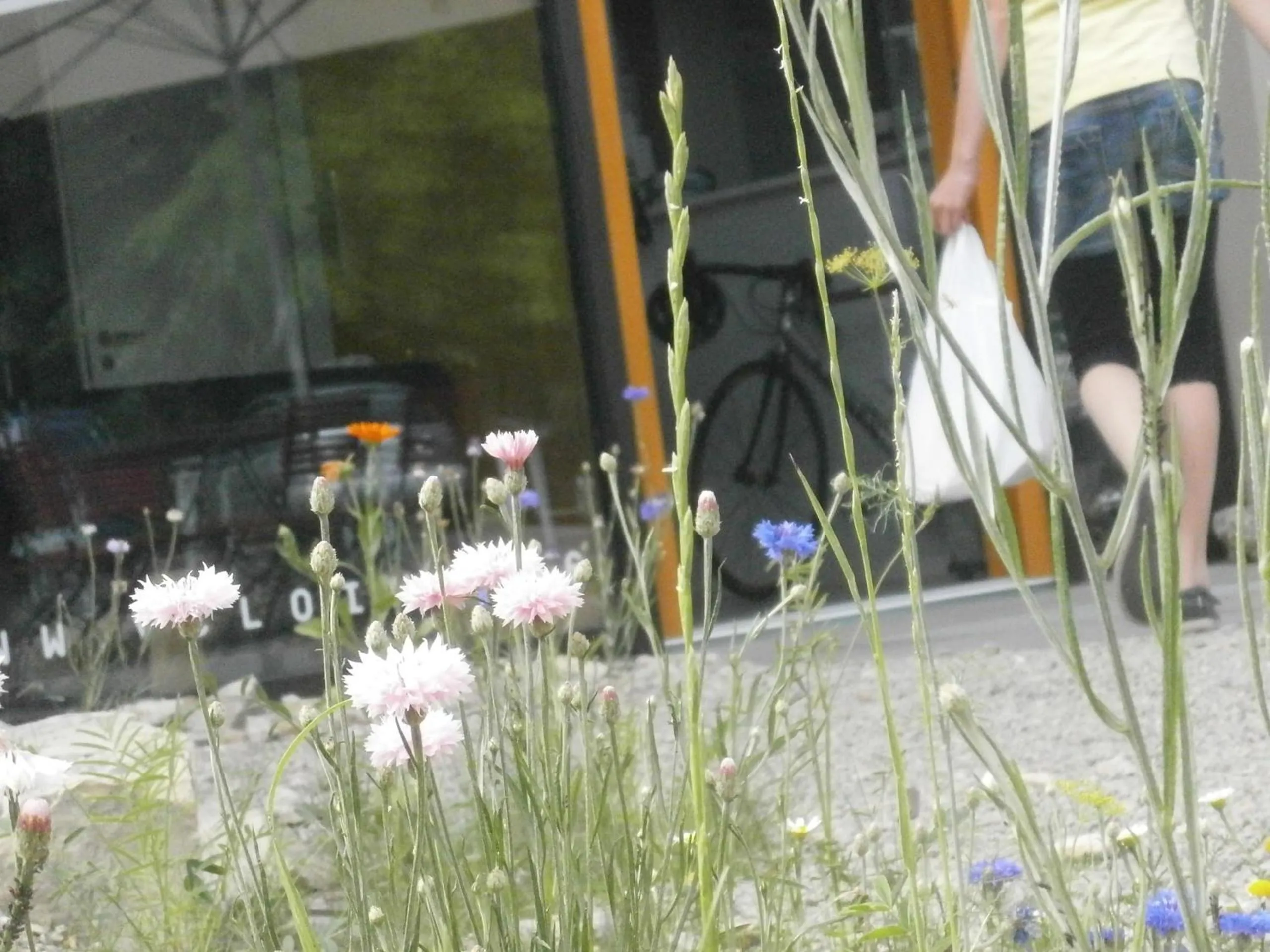 Summer in veloInn Hotel Bad Berka im Weimarer Land