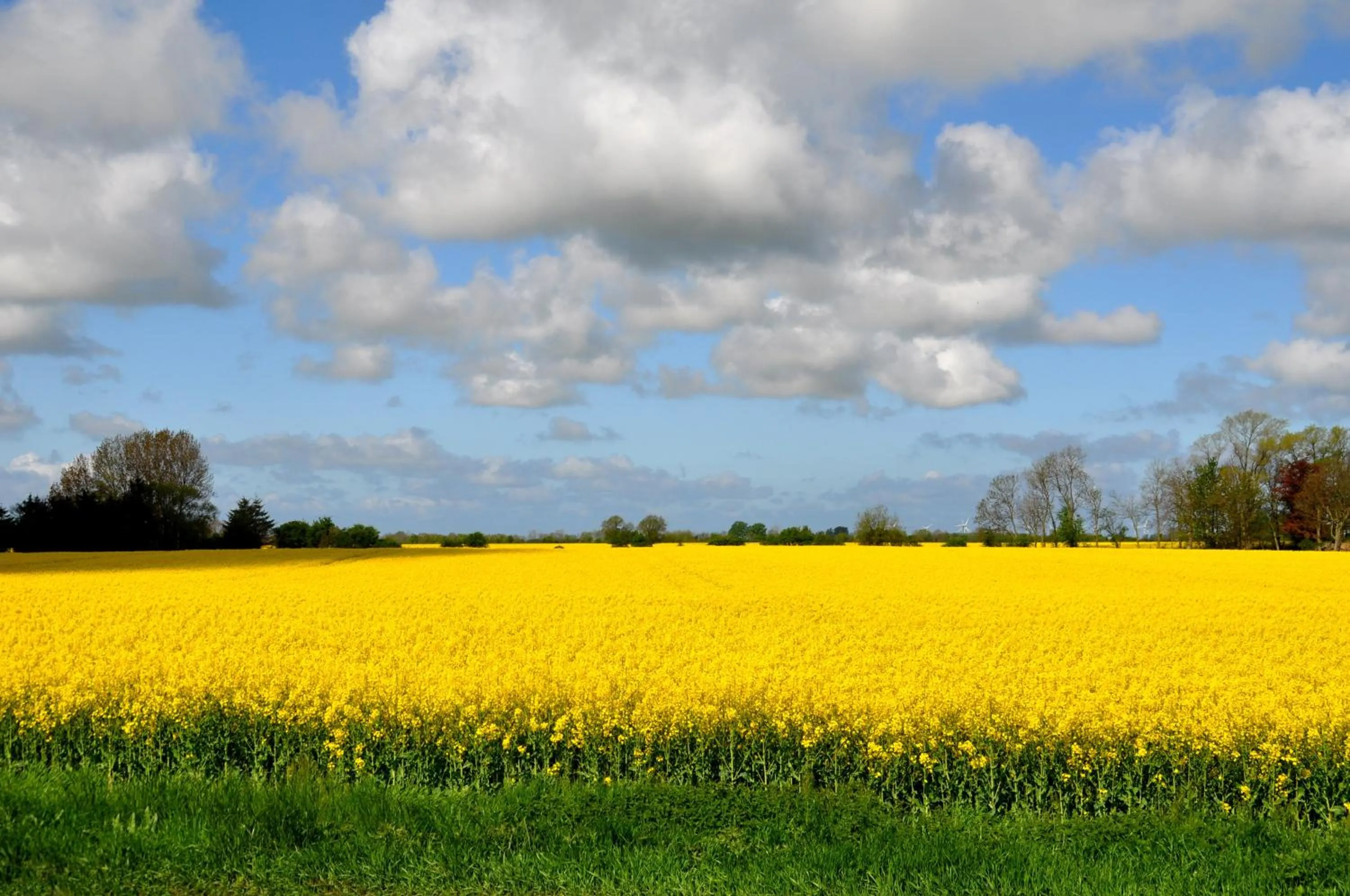 Natural landscape in Ferienwohnungen am Museumshof