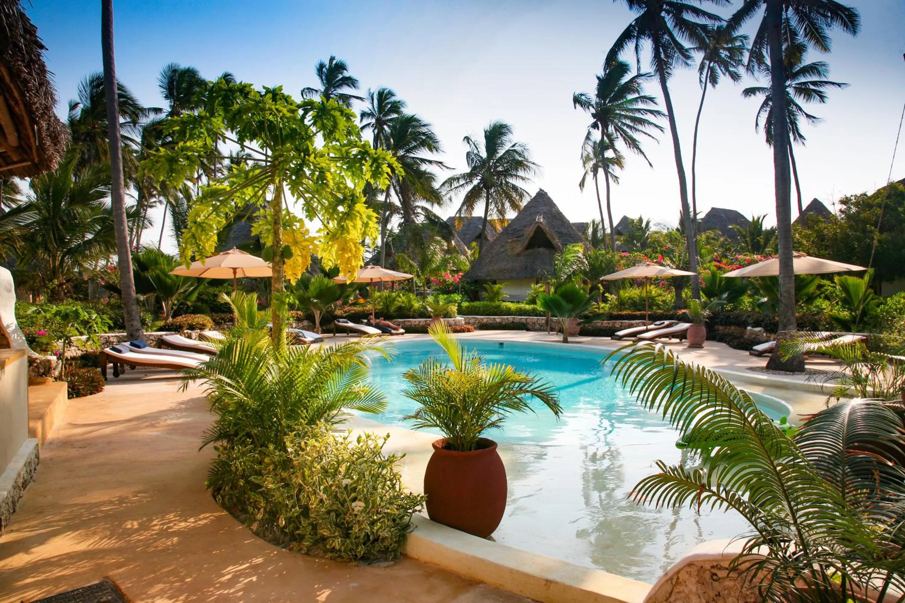 Pool view in SeVi Boutique Hotel
