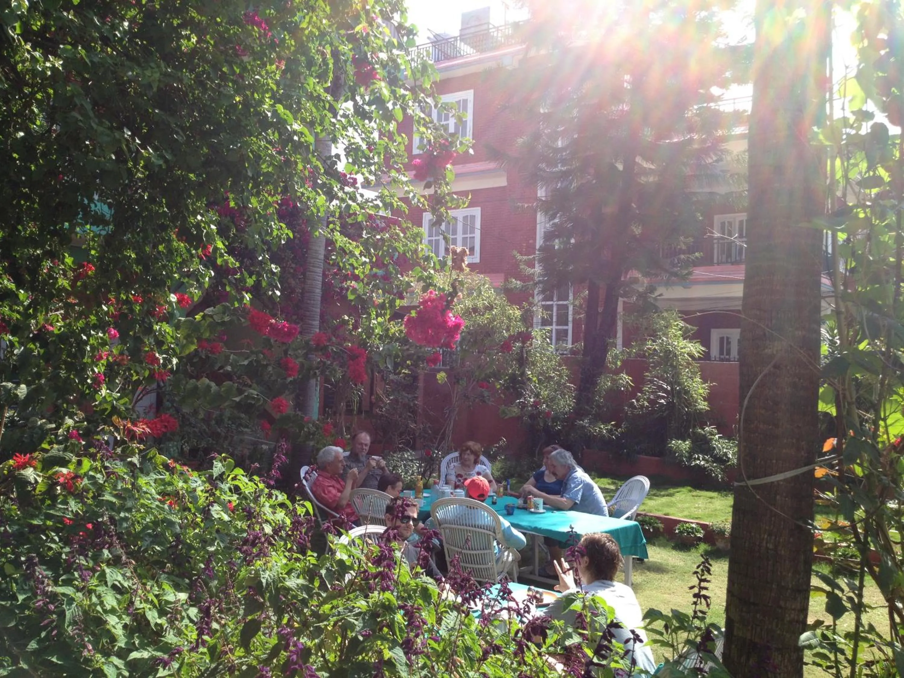 Garden in New Pokhara Lodge - Pokhara Lakeside