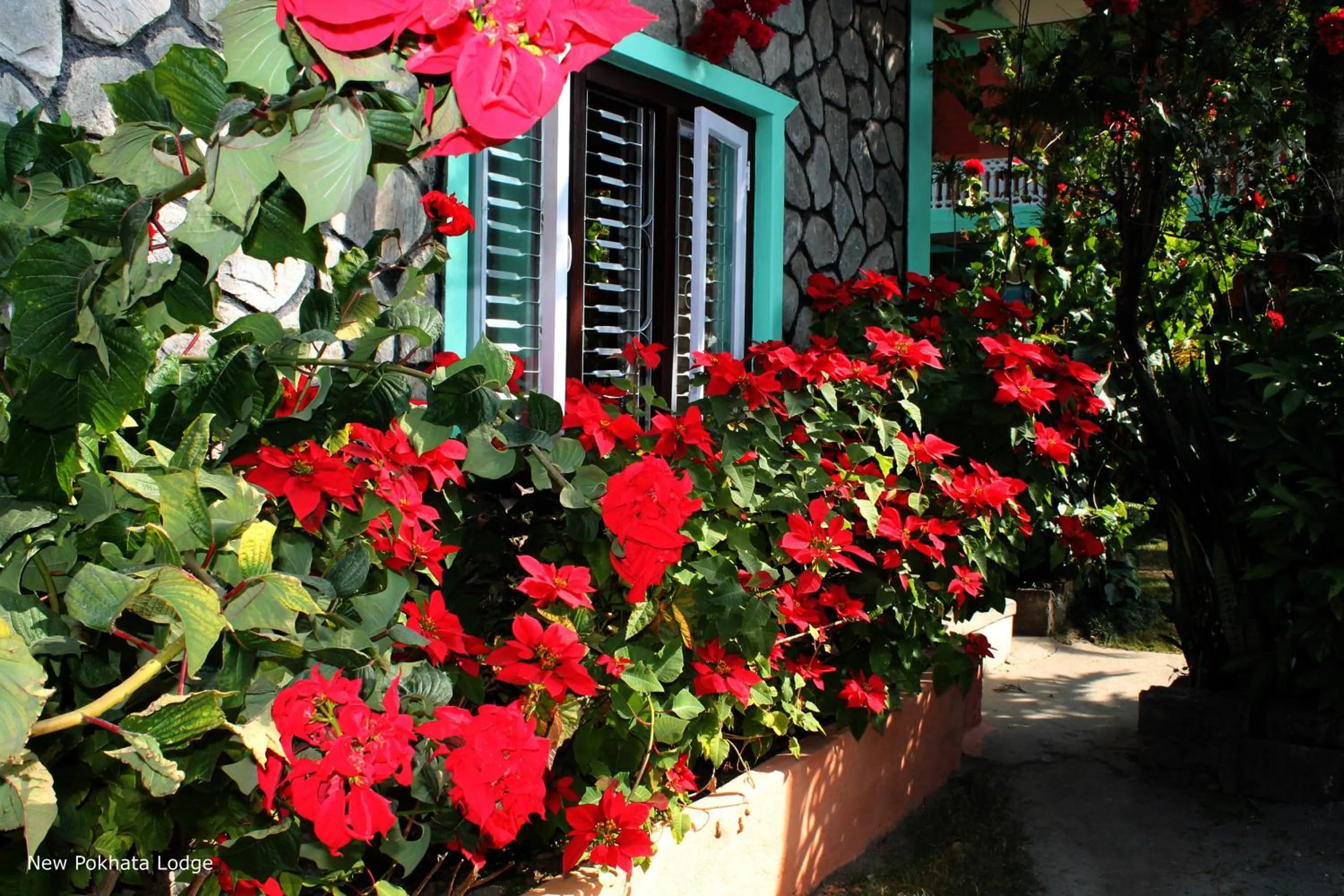 Bed in New Pokhara Lodge - Pokhara Lakeside