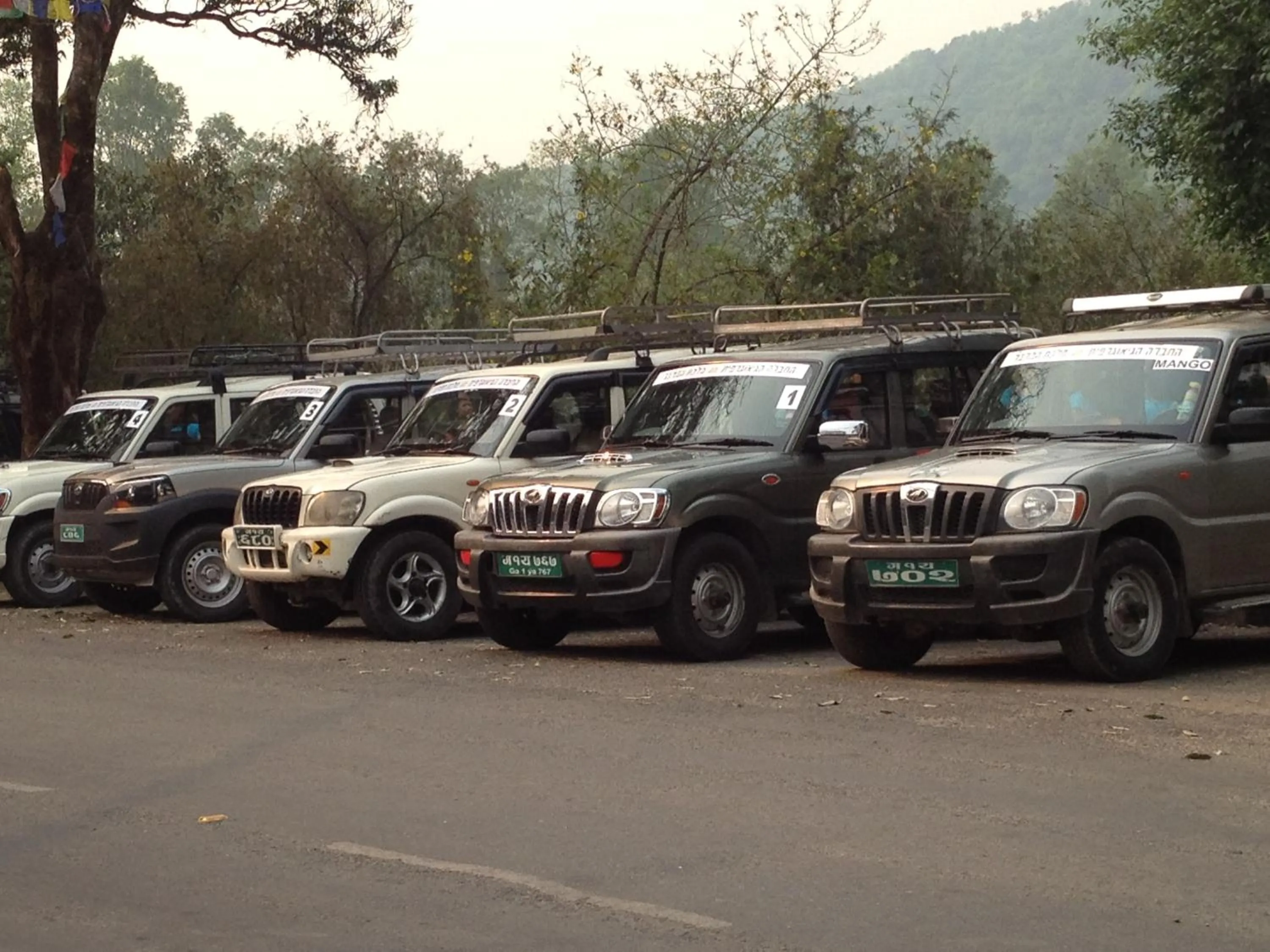 Diving in New Pokhara Lodge - Pokhara Lakeside