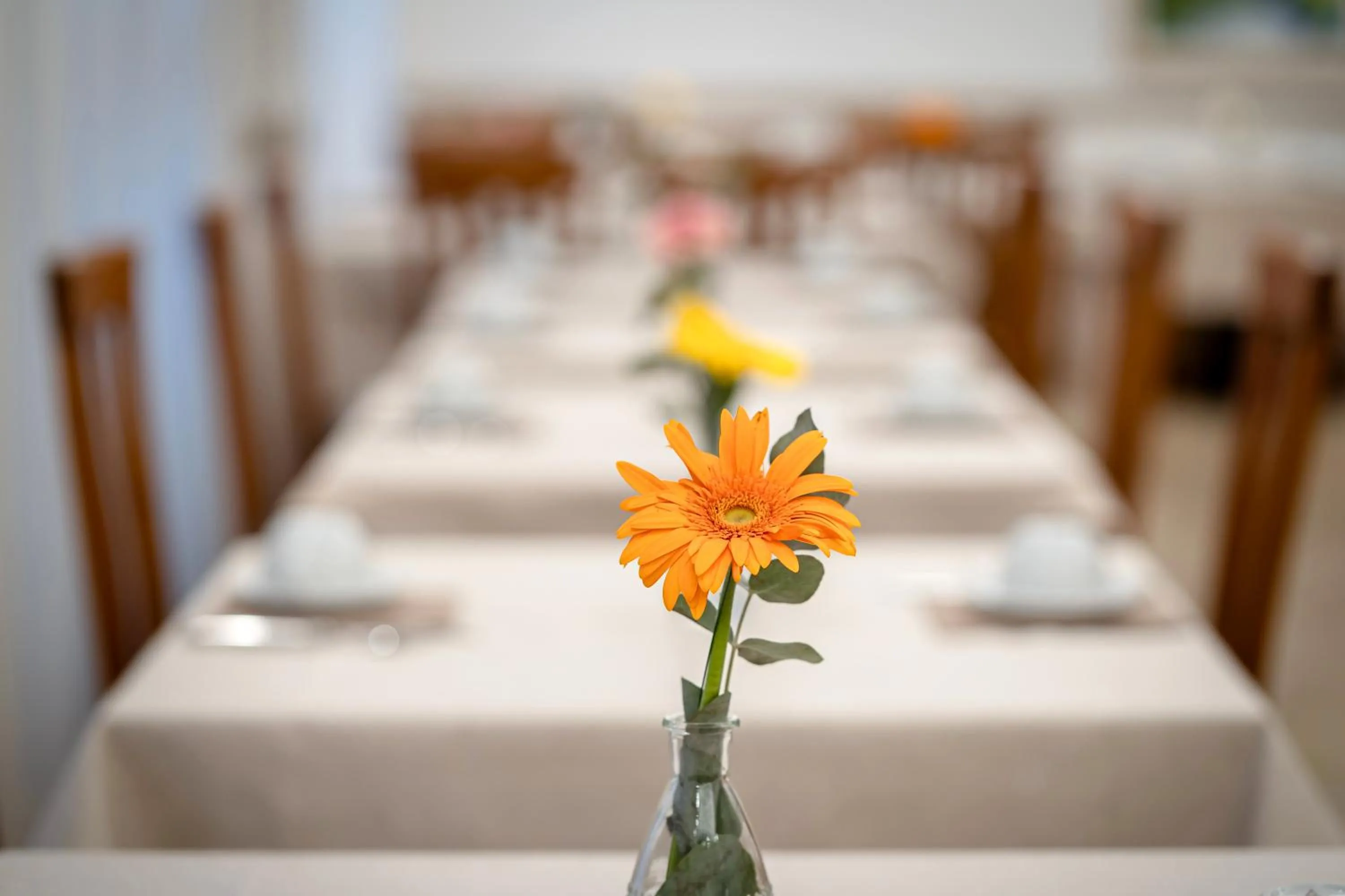 Continental breakfast in Hotel Etna