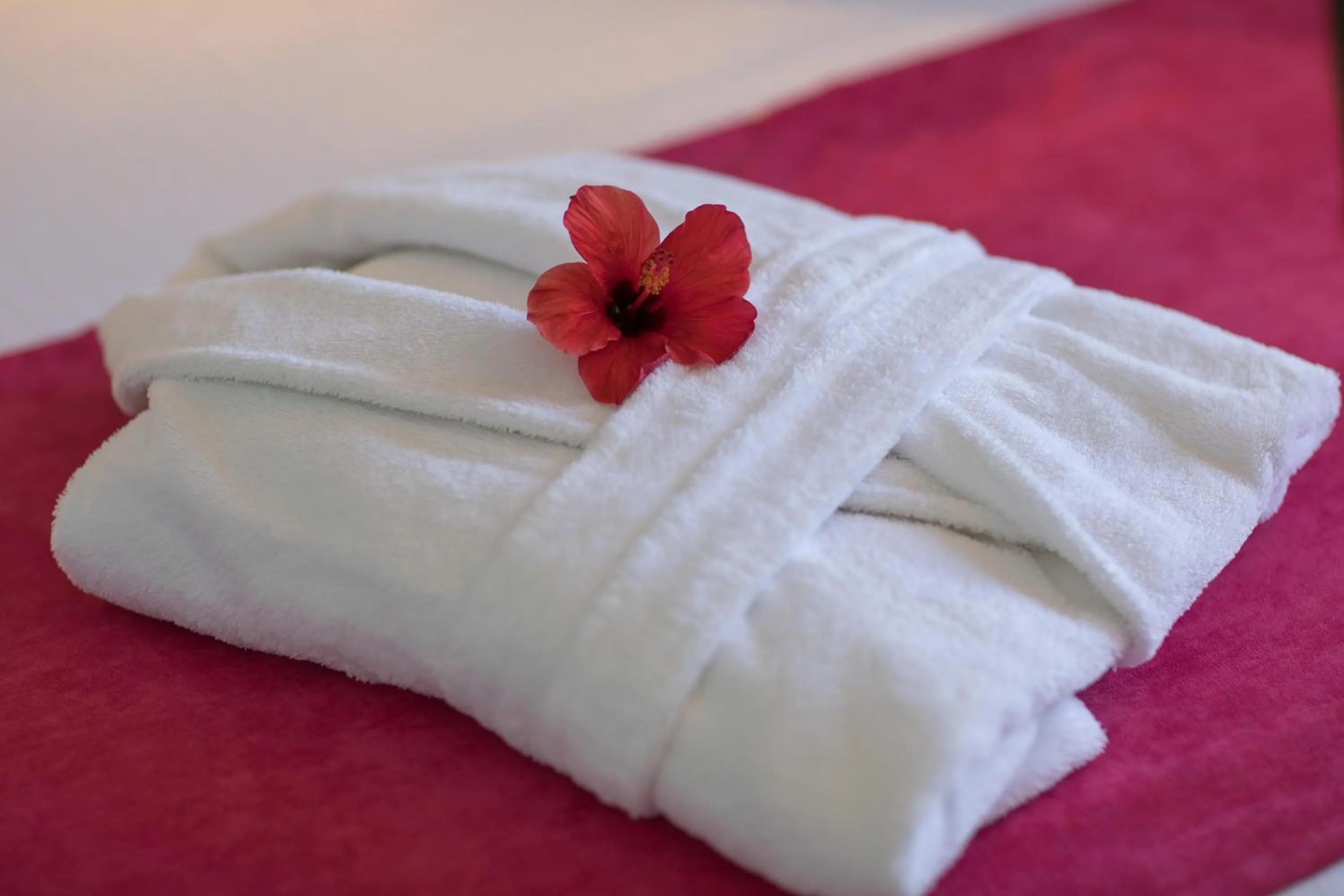 Photo of the whole room in Lindos Breeze Beach Hotel