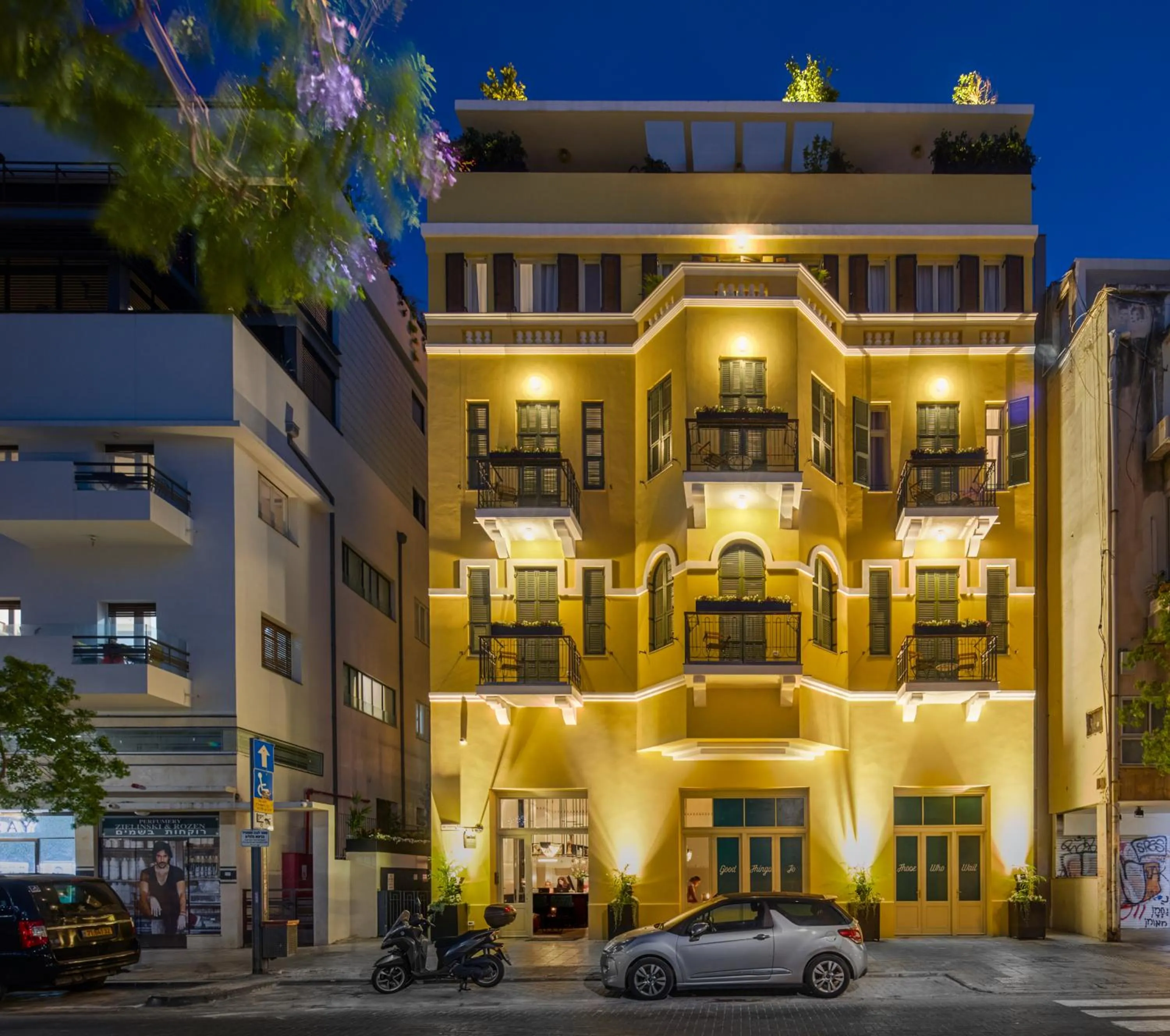 Property building in Sam&Blondi