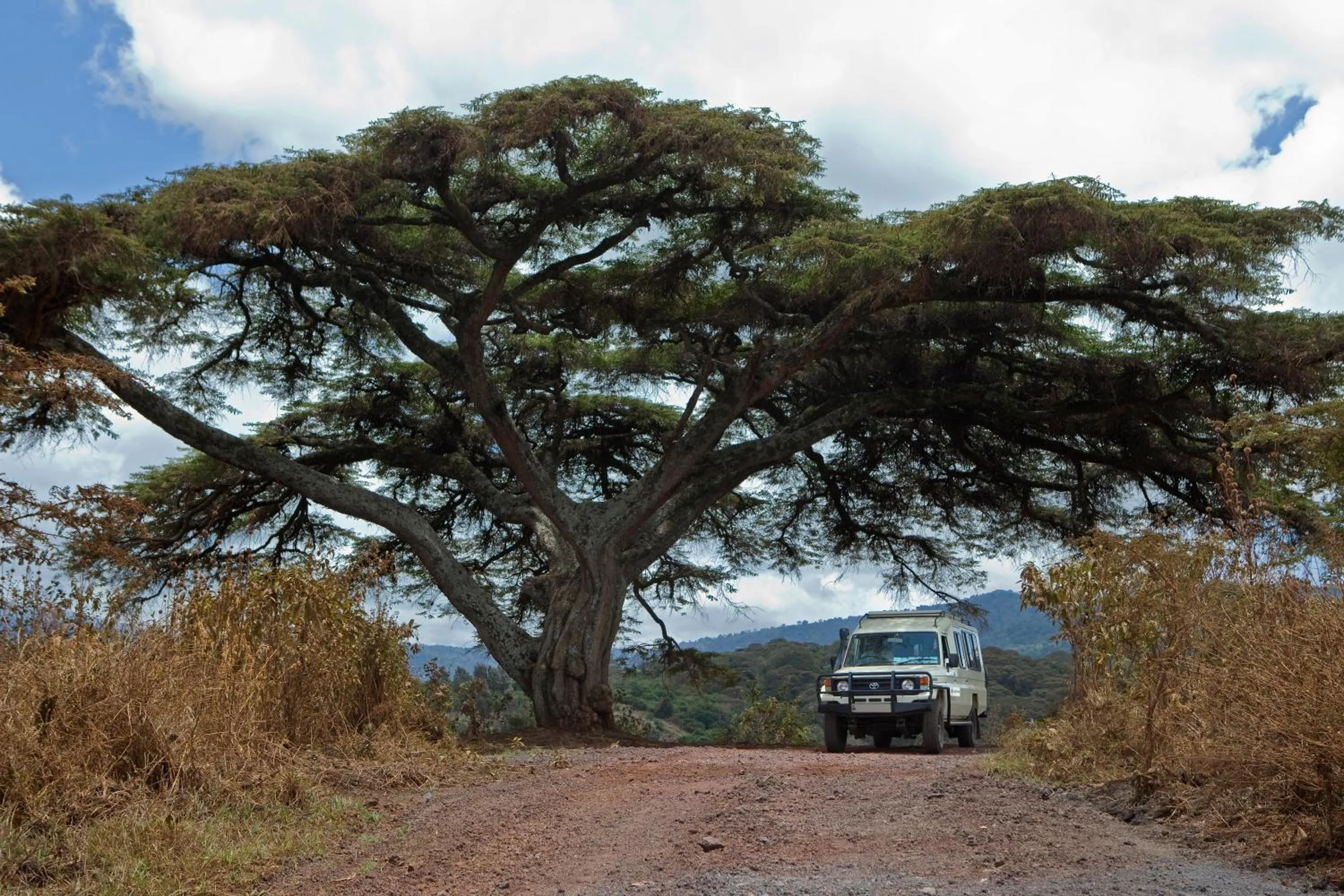 Hiking in Neptune Ngorongoro Luxury Lodge - All Inclusive