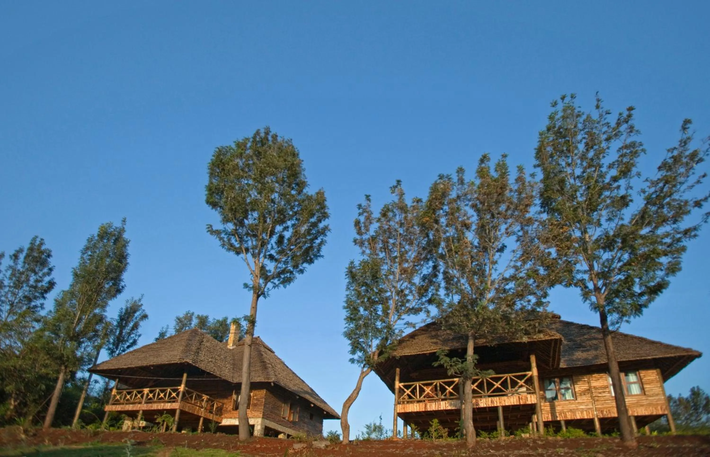 Decorative detail in Neptune Ngorongoro Luxury Lodge - All Inclusive