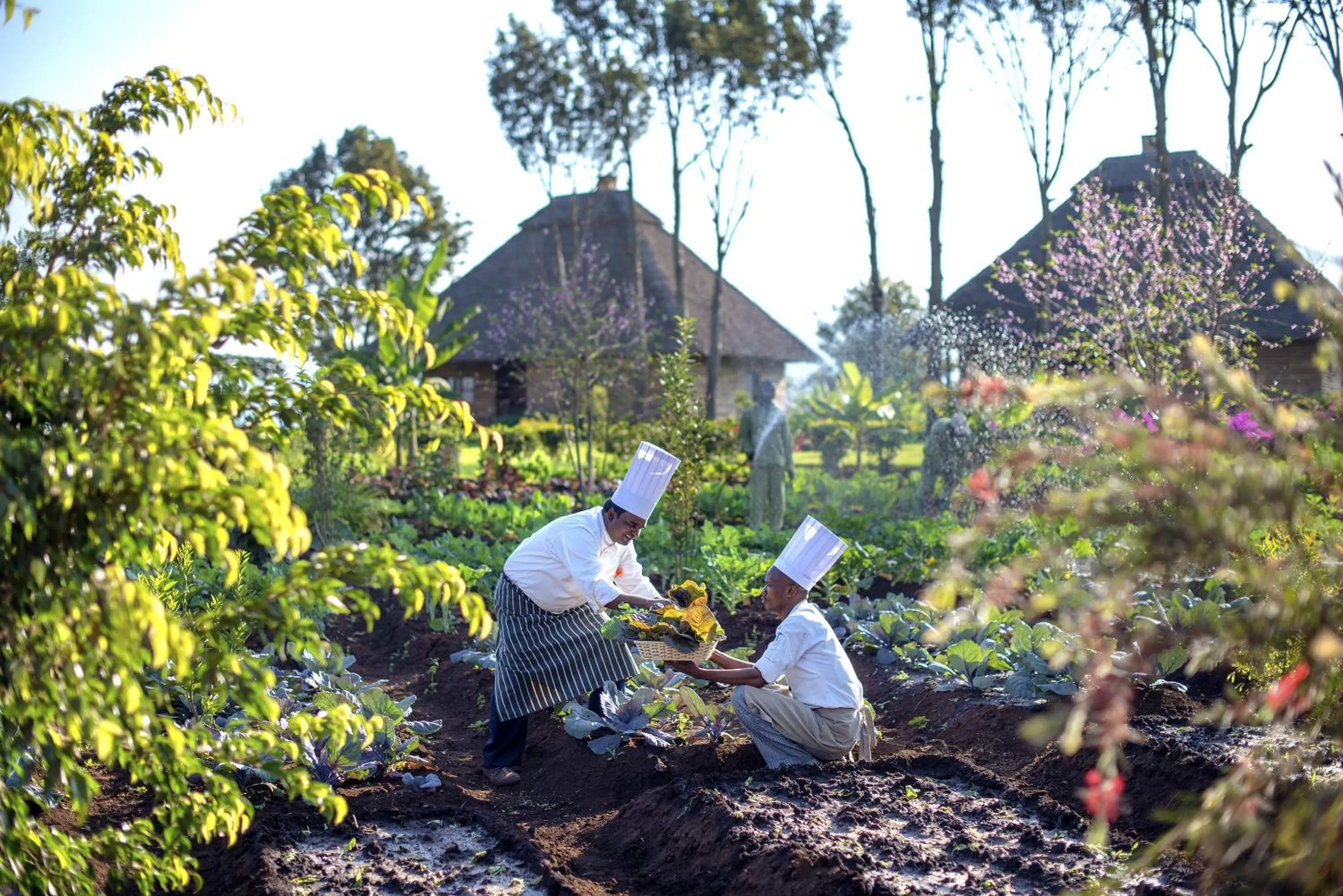 Garden in Neptune Ngorongoro Luxury Lodge - All Inclusive