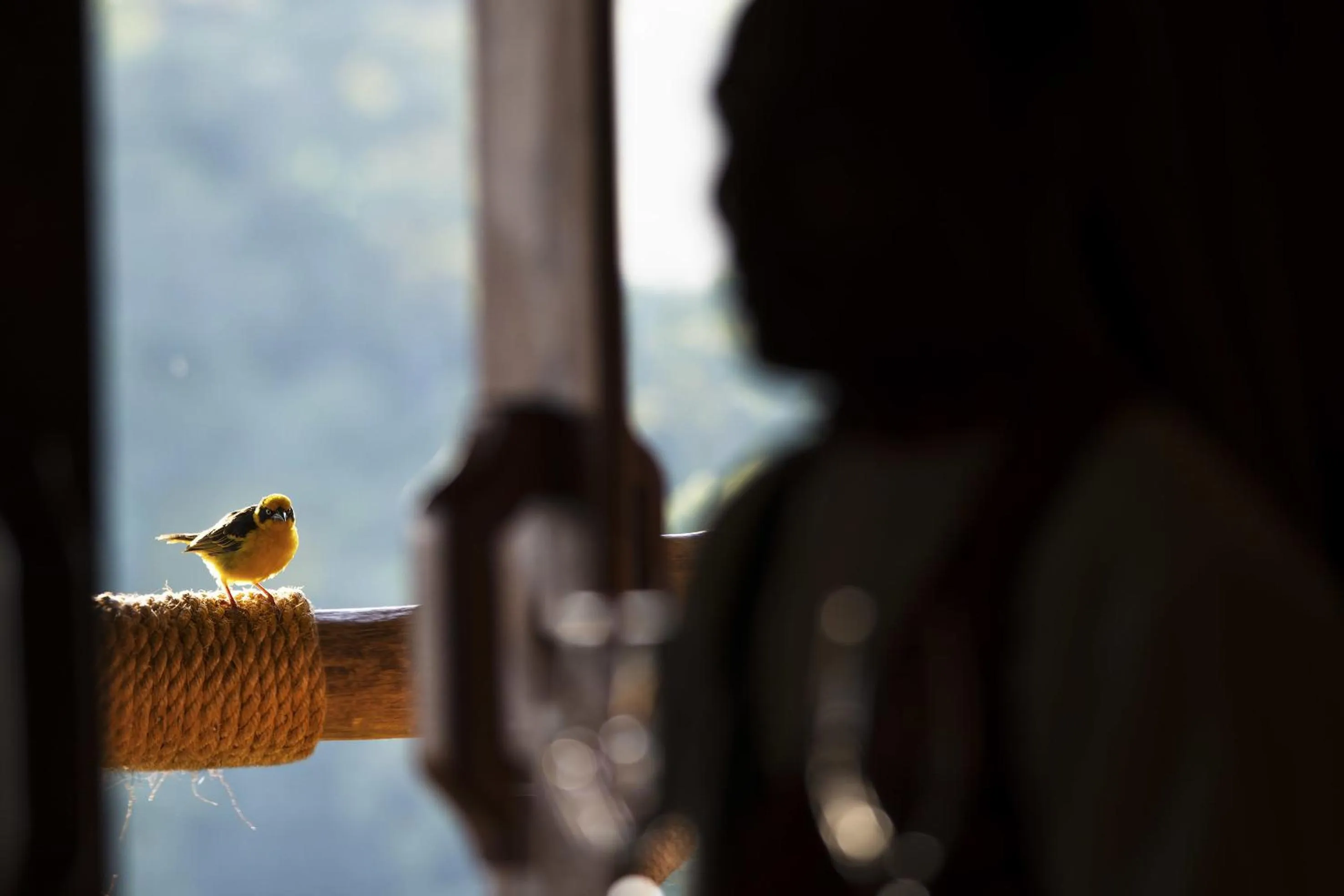 Decorative detail in Neptune Ngorongoro Luxury Lodge - All Inclusive