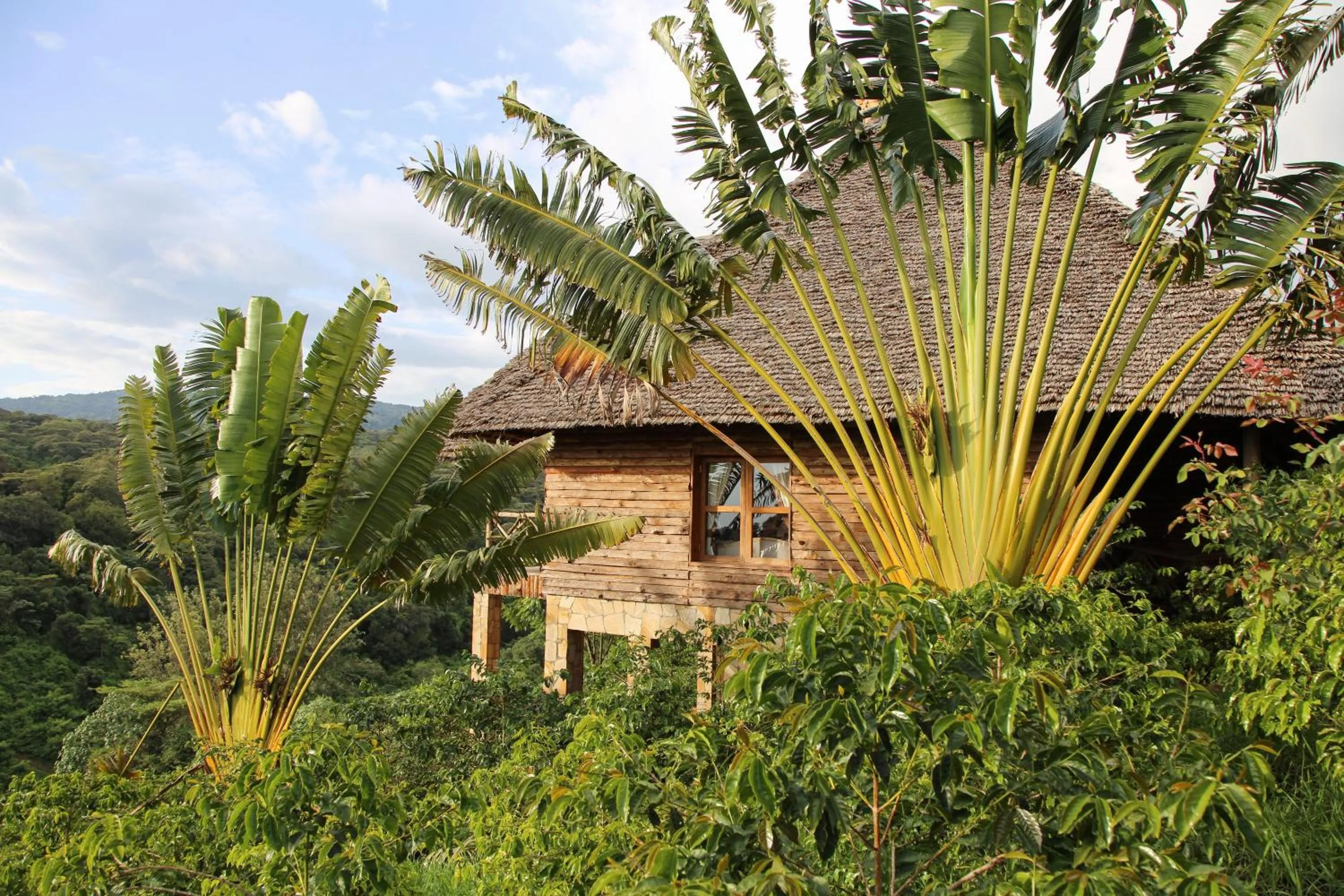 Garden view in Neptune Ngorongoro Luxury Lodge - All Inclusive