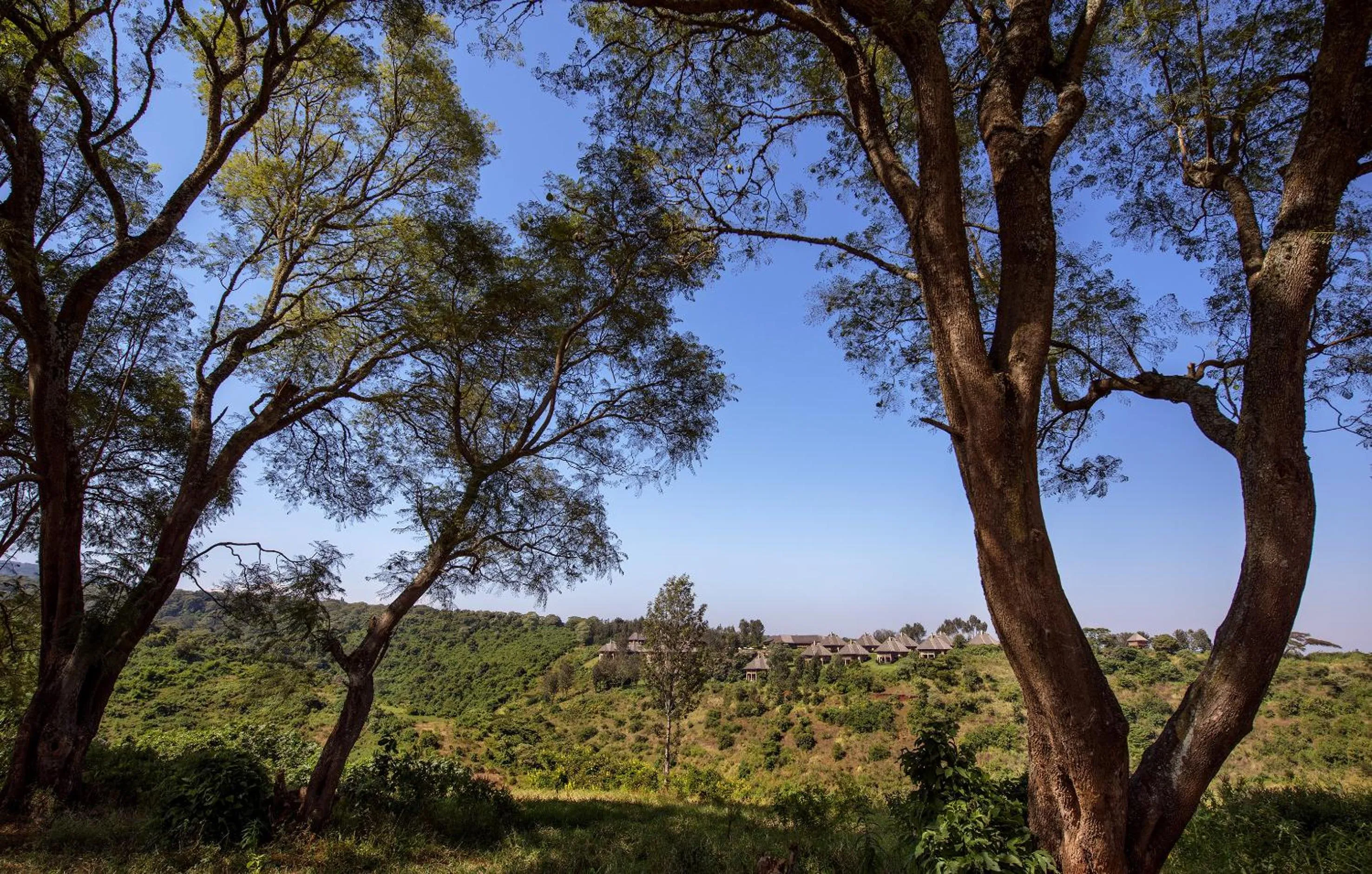 View (from property/room) in Neptune Ngorongoro Luxury Lodge - All Inclusive