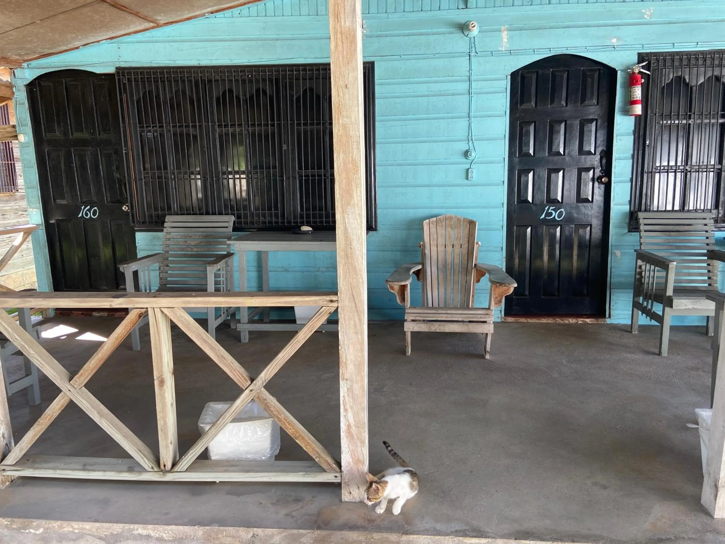 Balcony/Terrace in Westport Cottage