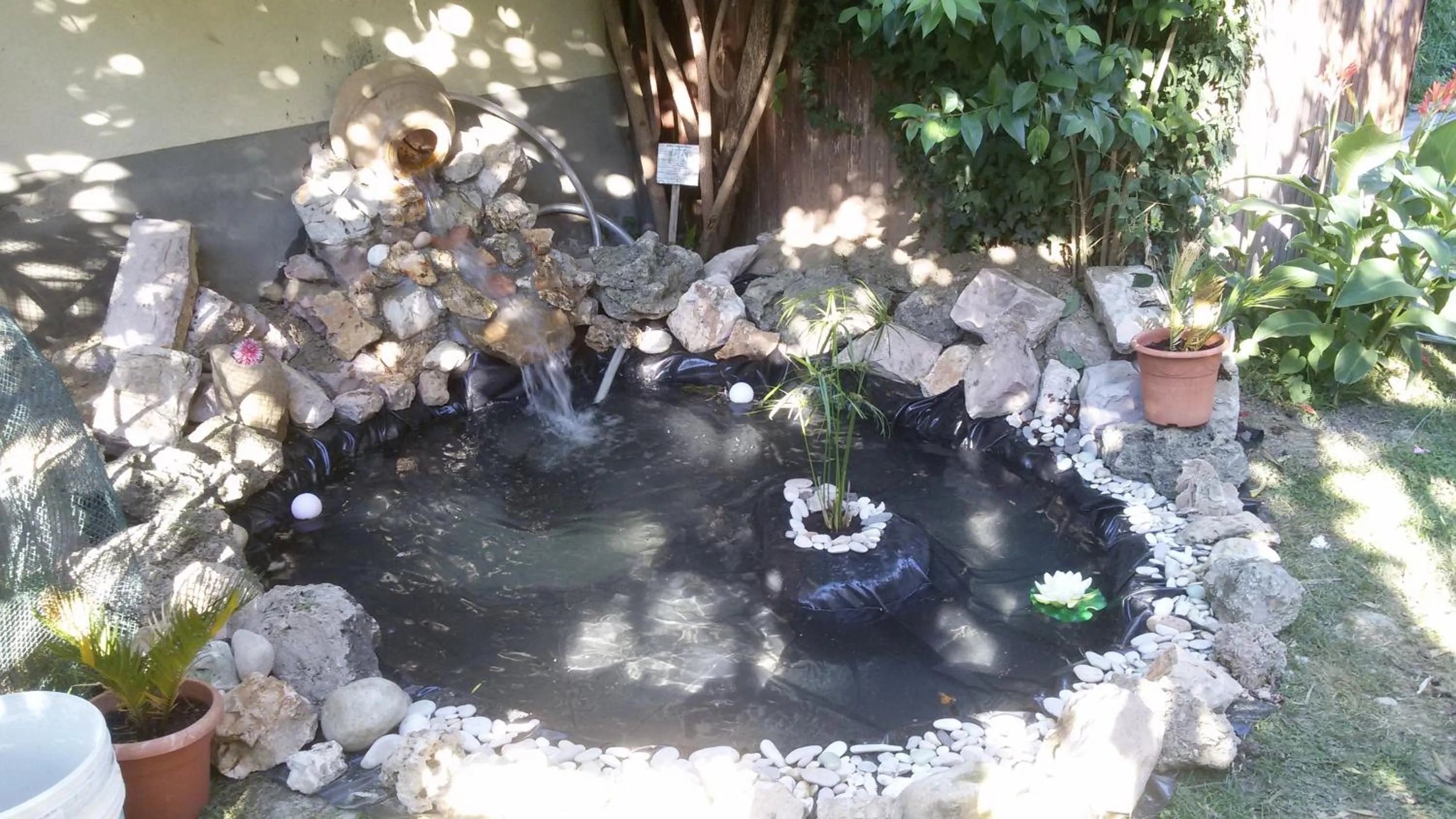 Garden in B&B Il Sognatore