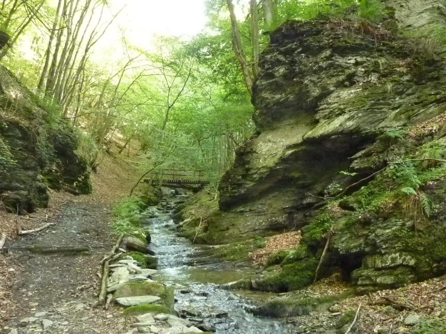 View (from property/room) in Ferien im Hunsrück