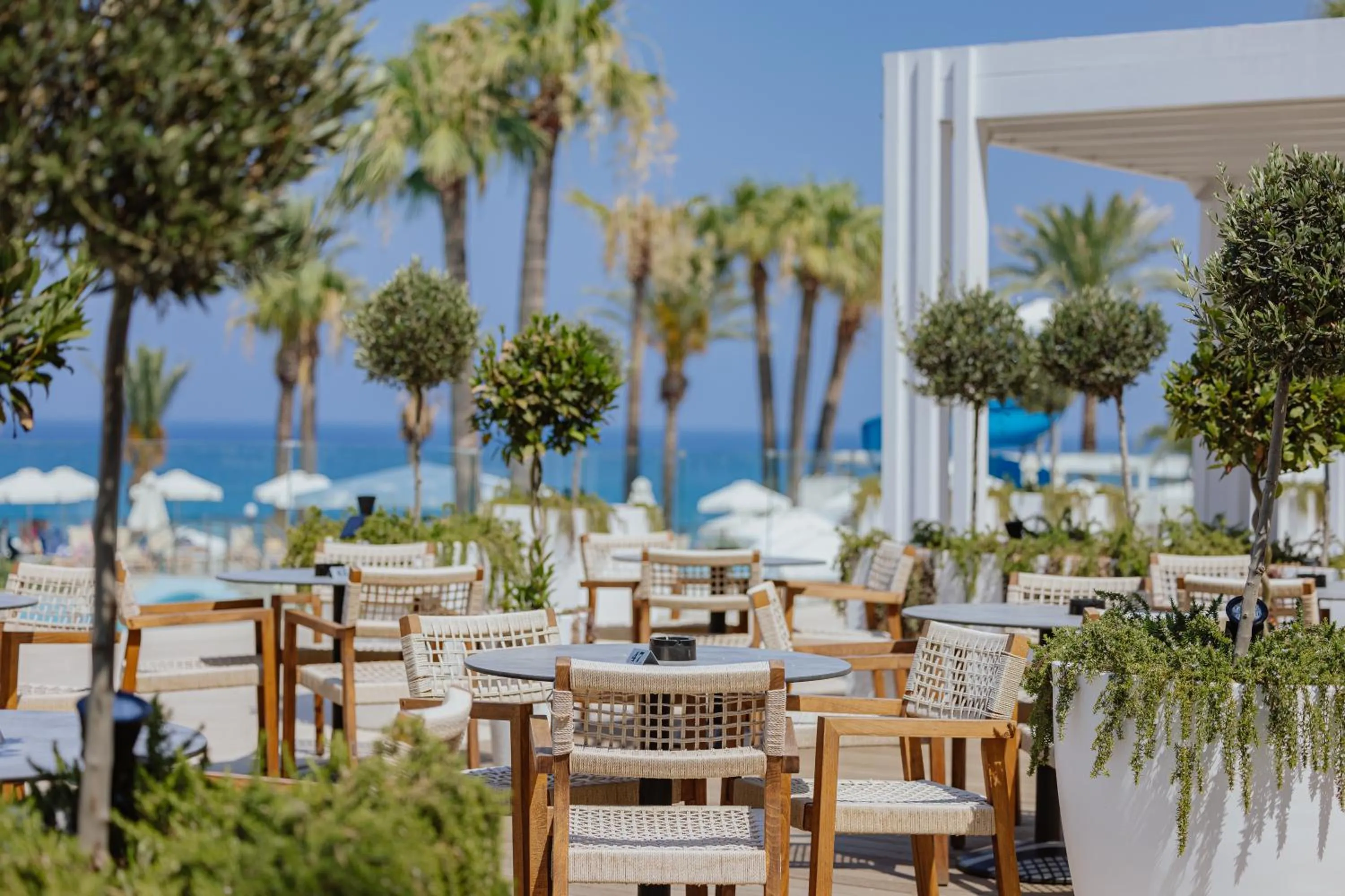 Lounge or bar in Golden Coast Beach Hotel