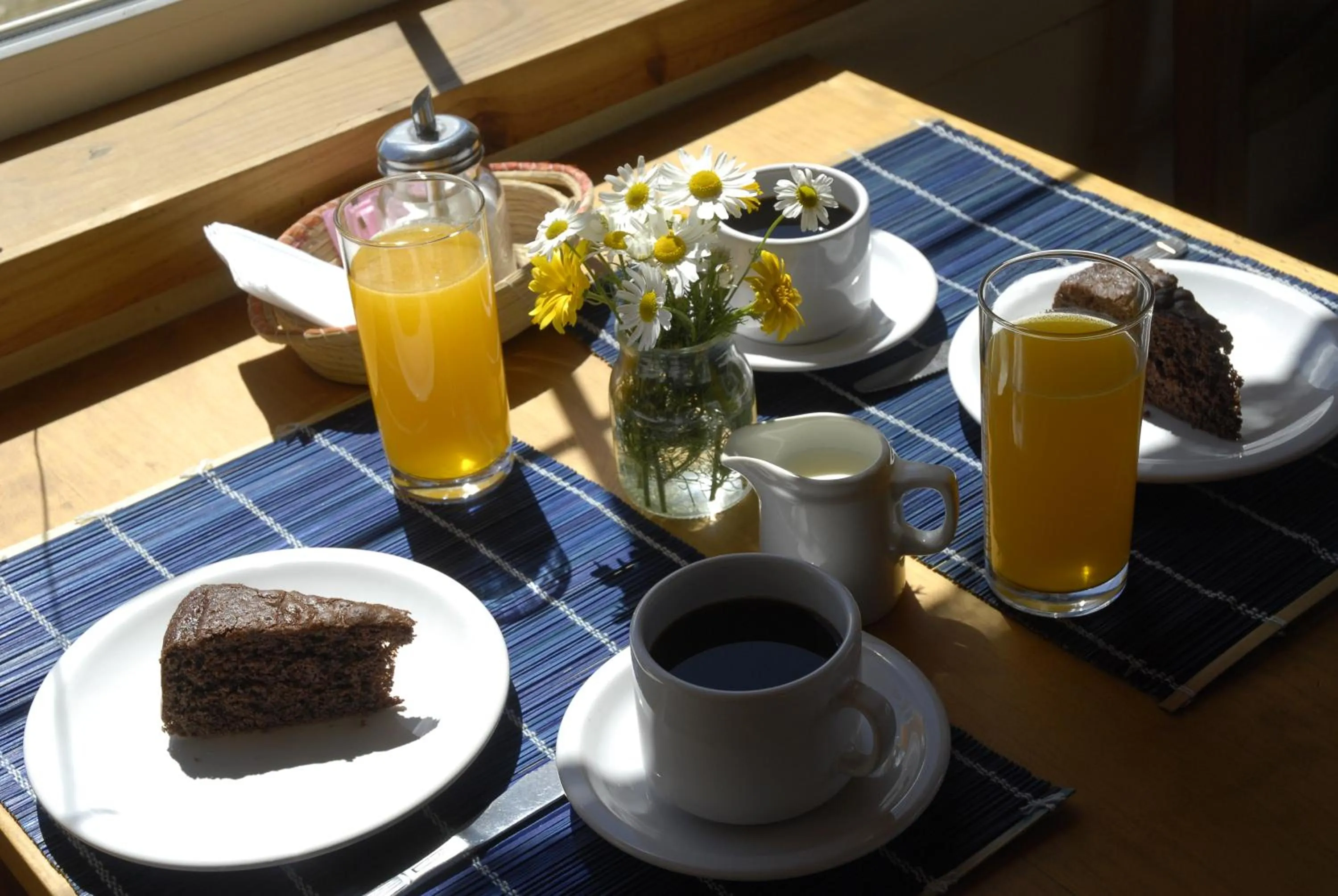 Lounge or bar in Nothofagus Bed & Breakfast