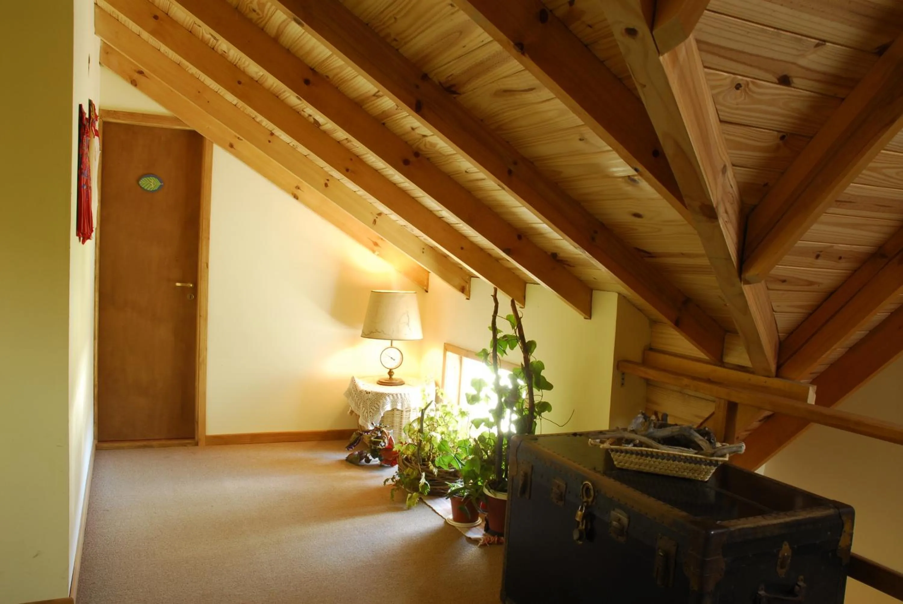 Property building in Nothofagus Bed & Breakfast