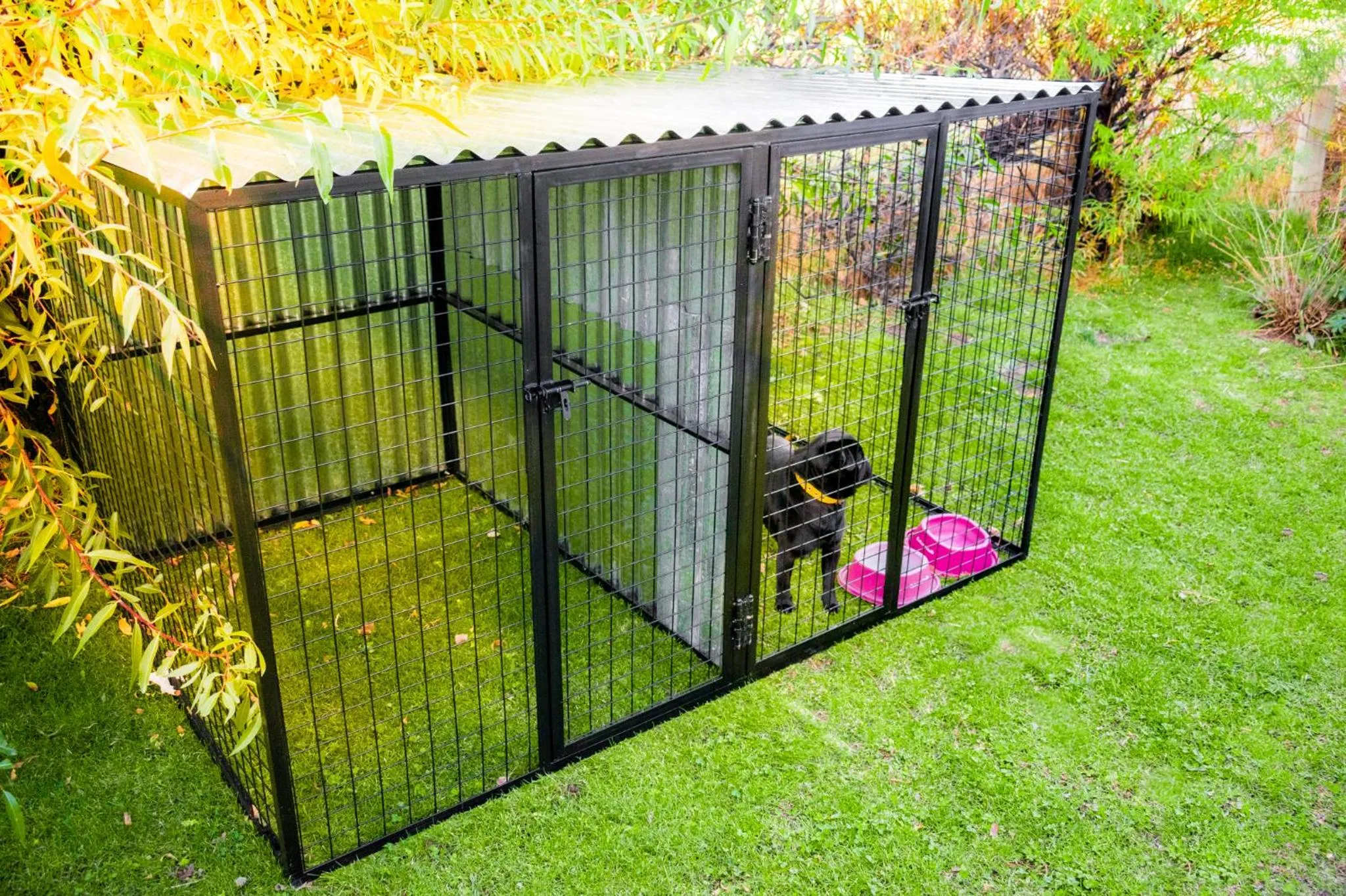 Pets in Paraiso Patagónico Bungalows and Aparts