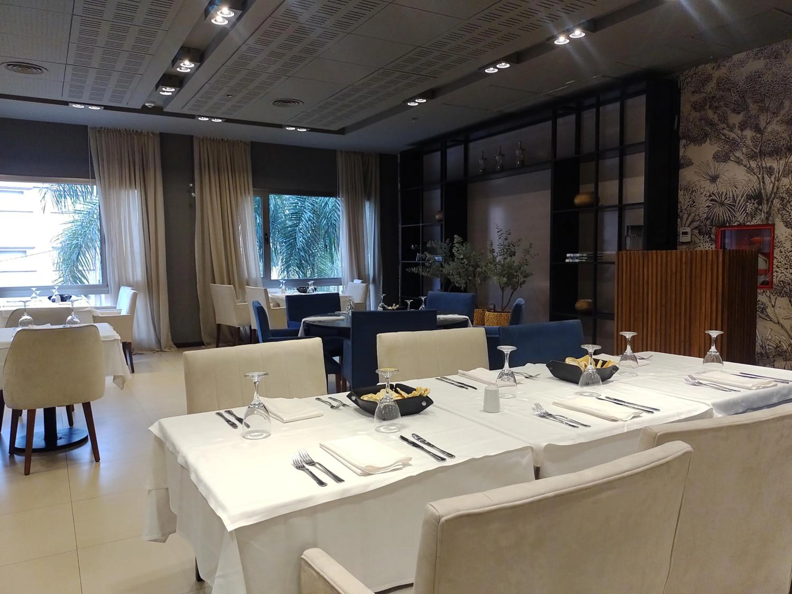 Gran Amérian Carlos V