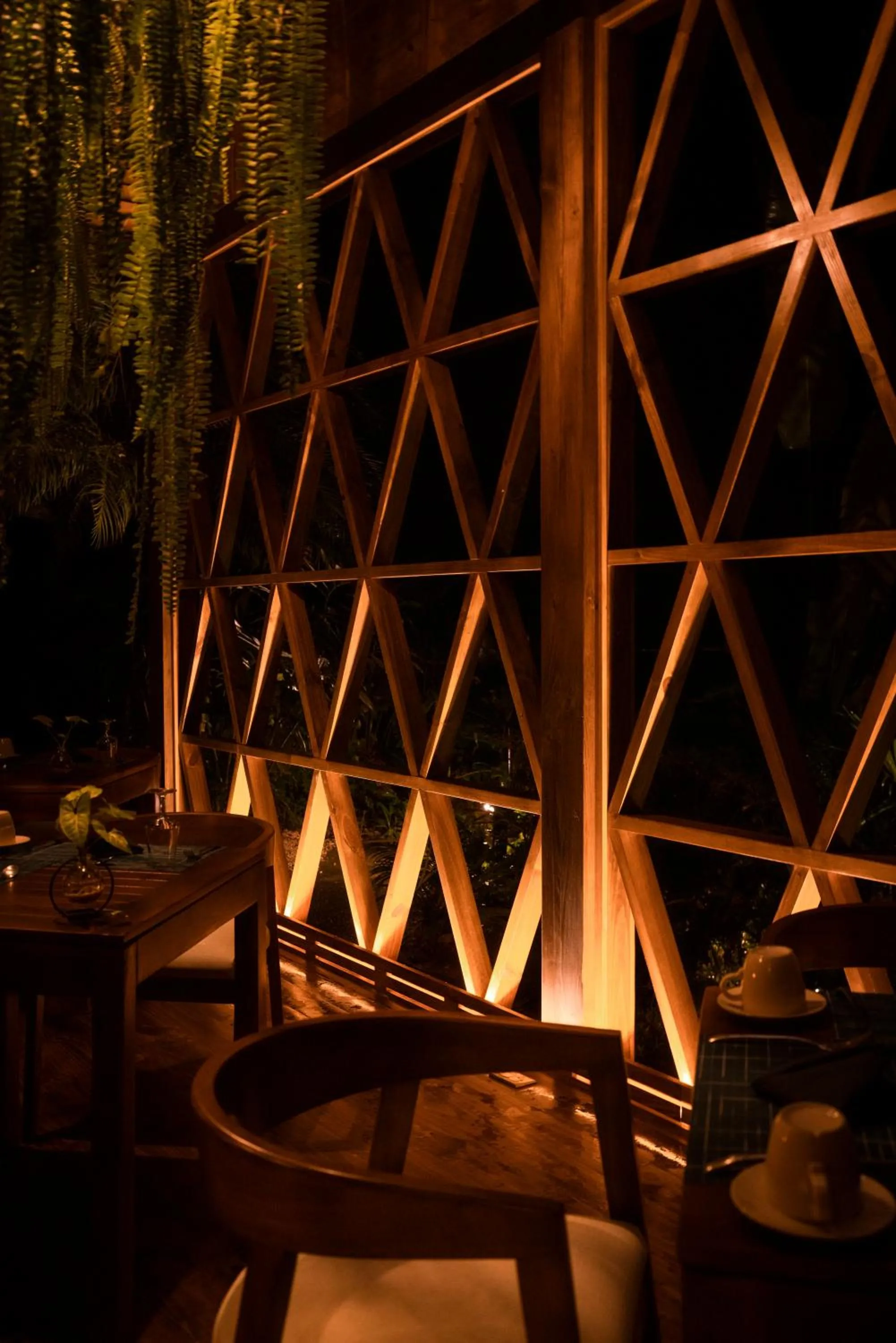 Night in Oxygen Jungle Villas & Spa