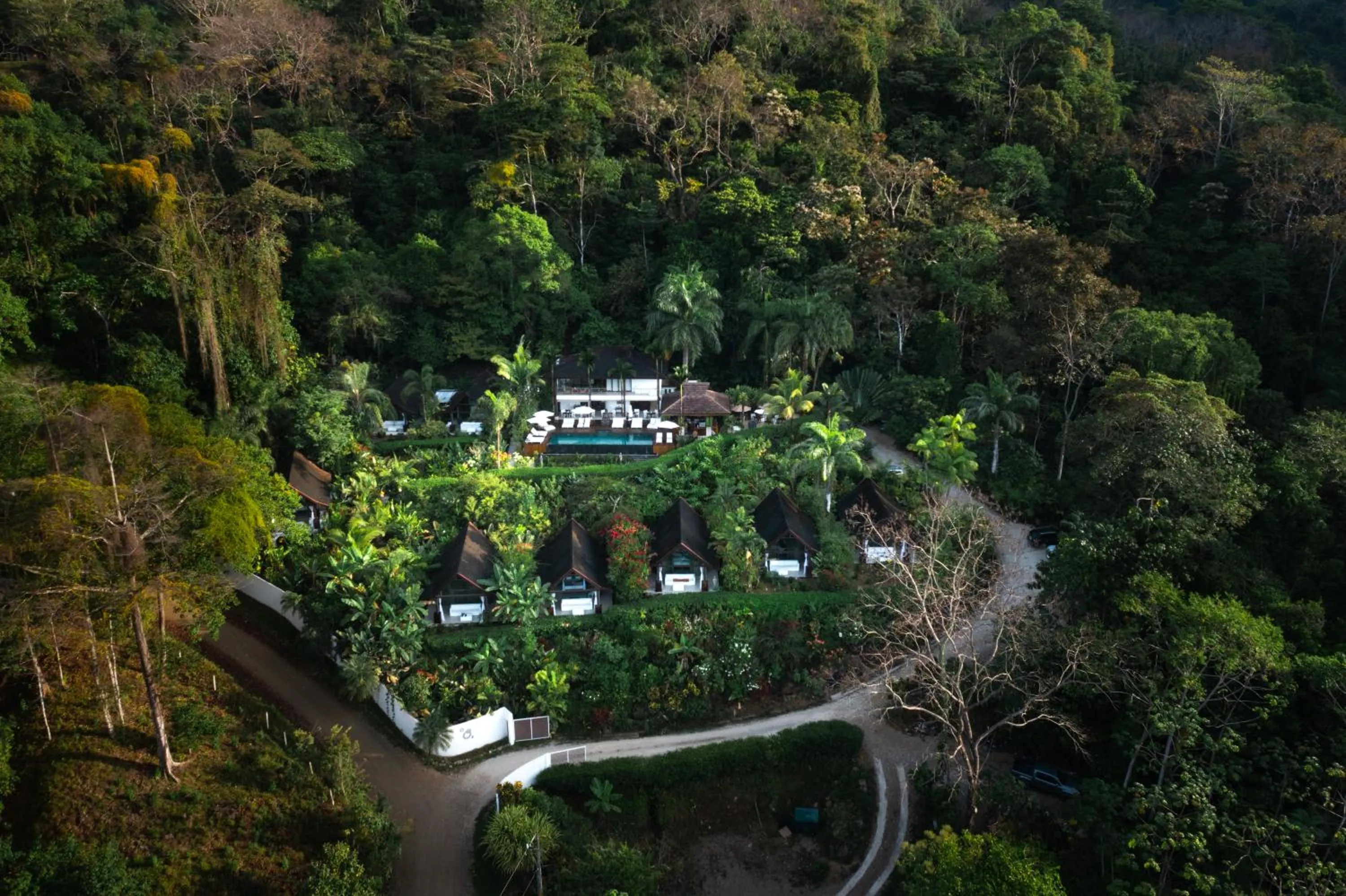 Natural landscape in Oxygen Jungle Villas & Spa