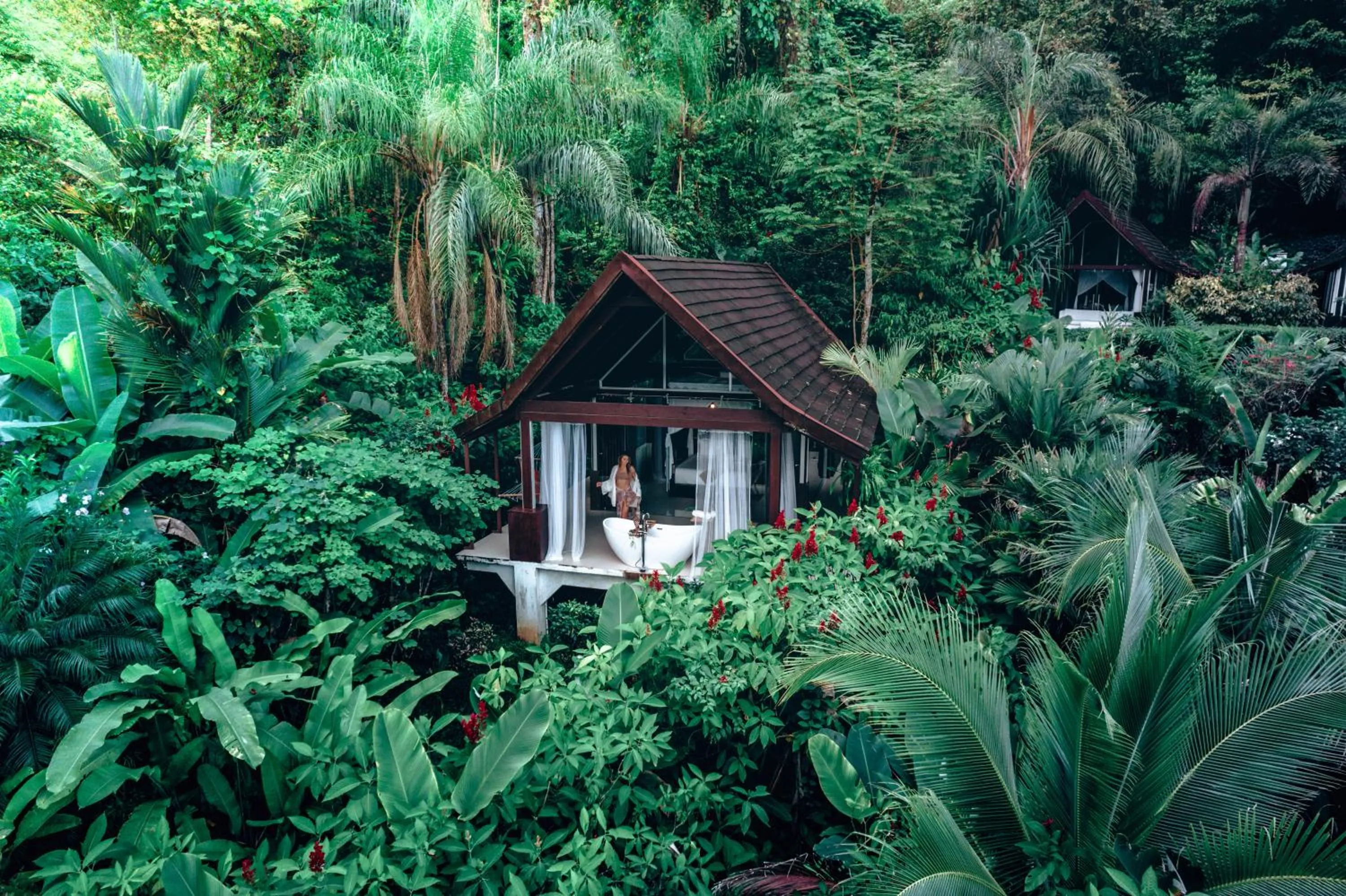 Natural landscape in Oxygen Jungle Villas & Spa