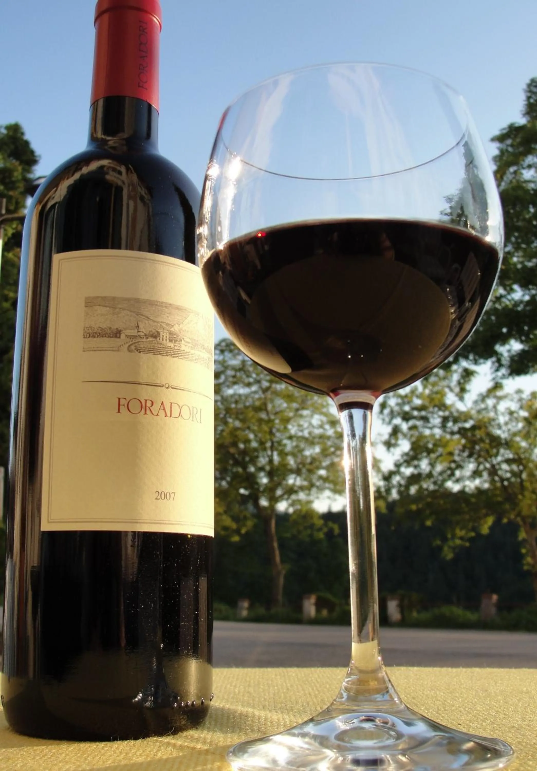 Drinks in Hotel du Lac Parc & Residence