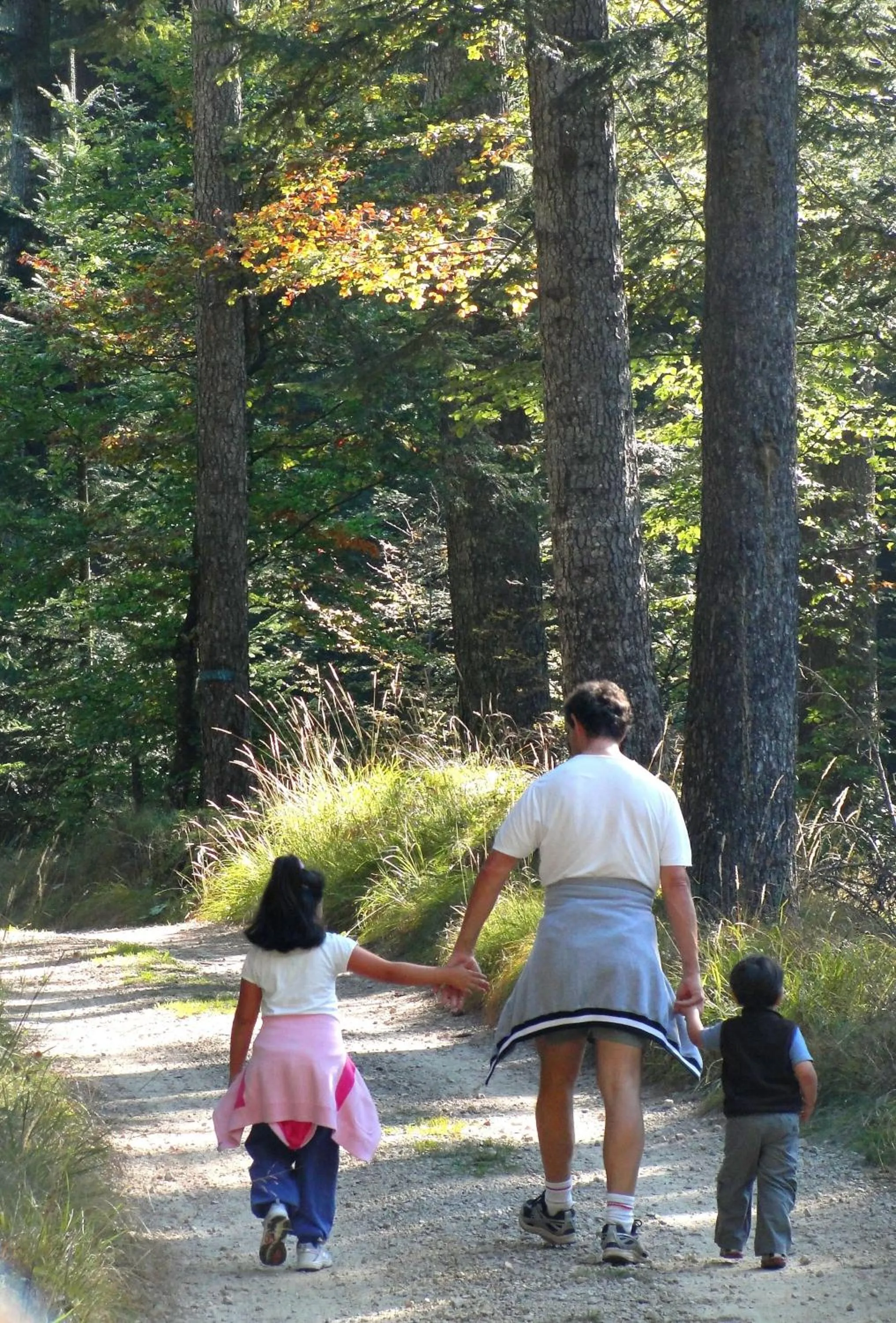 Hiking in Hotel du Lac Parc & Residence