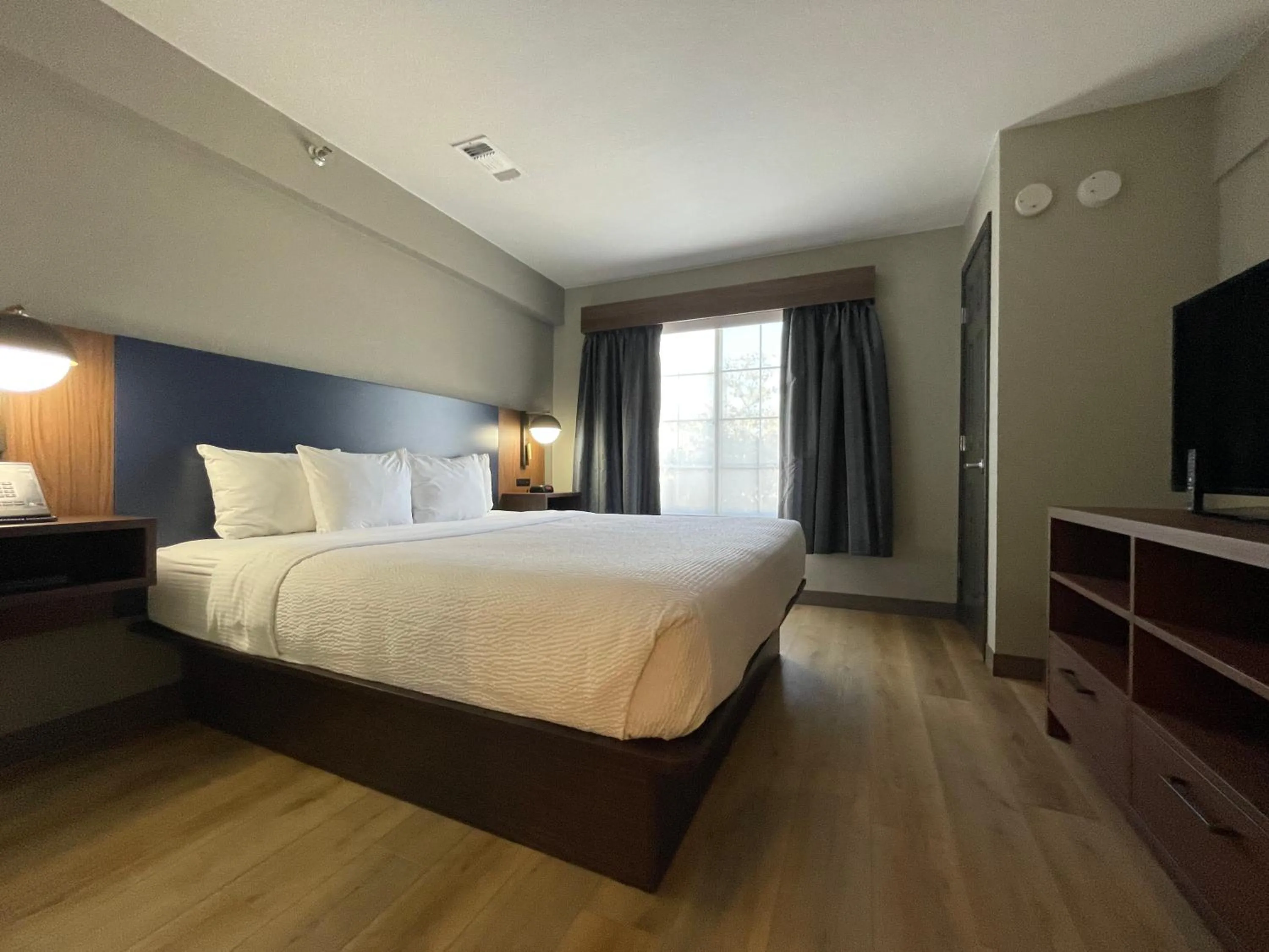 Bed in La Quinta by Wyndham Dallas DFW Airport North