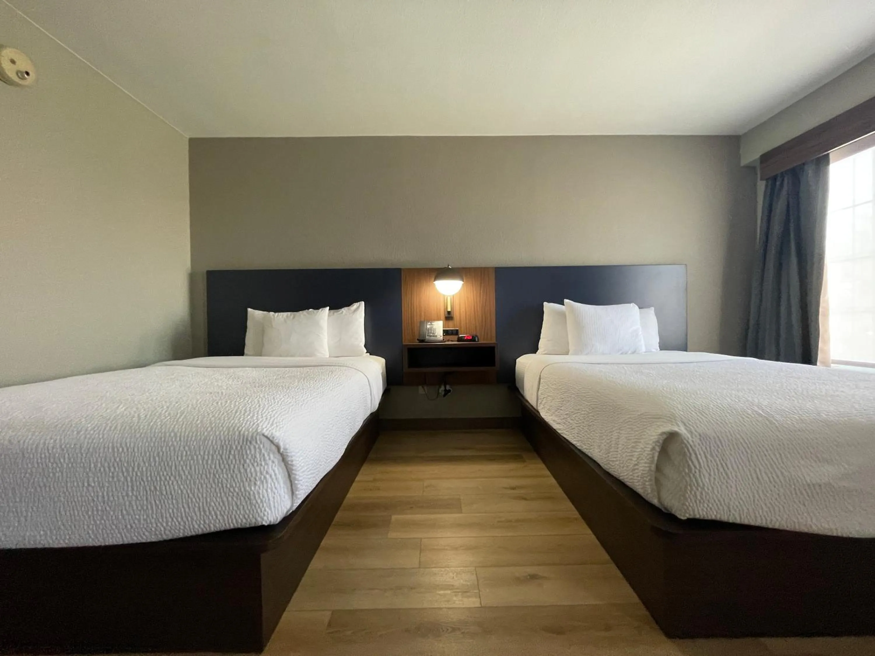 Bed in La Quinta by Wyndham Dallas DFW Airport North