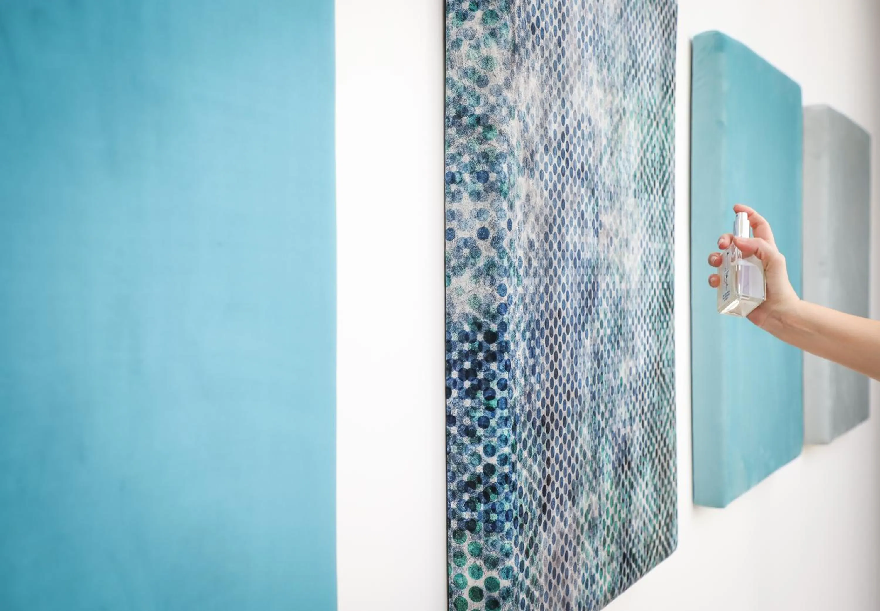 Area and facilities in Palazzo Filisio - Regia Restaurant