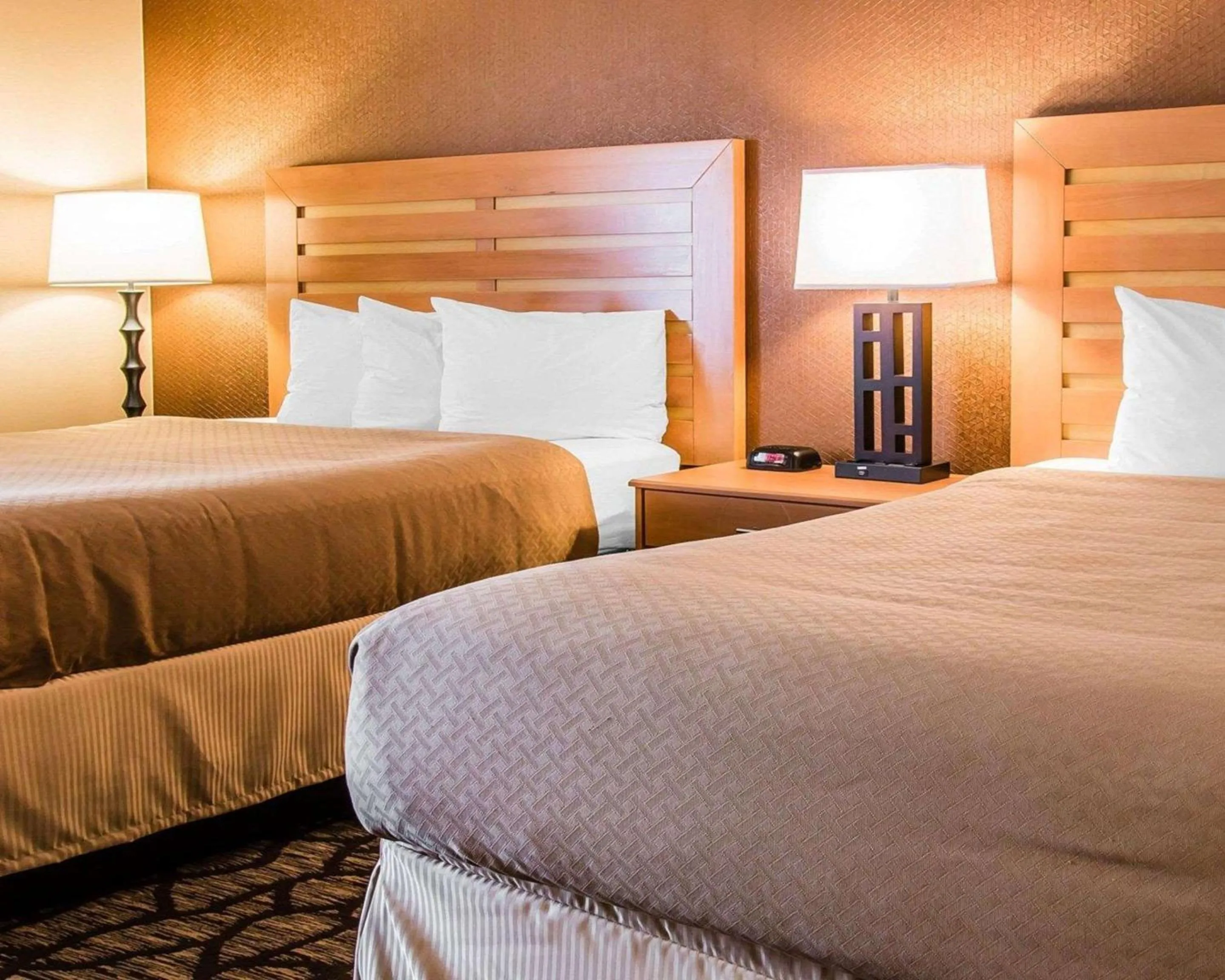 Photo of the whole room, Bed in Quality Inn & Suites Warren - Detroit