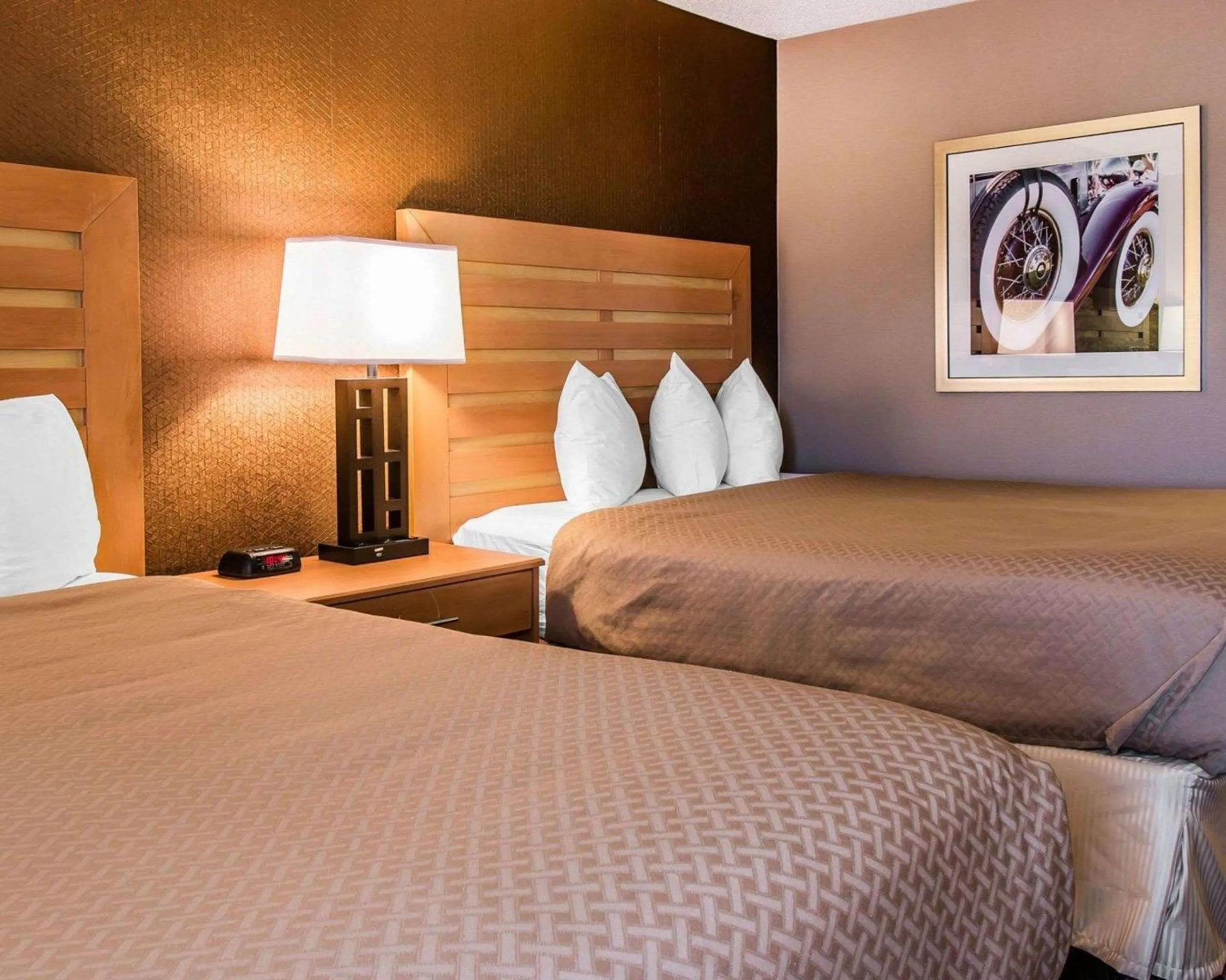 Photo of the whole room, Bed in Quality Inn & Suites Warren - Detroit