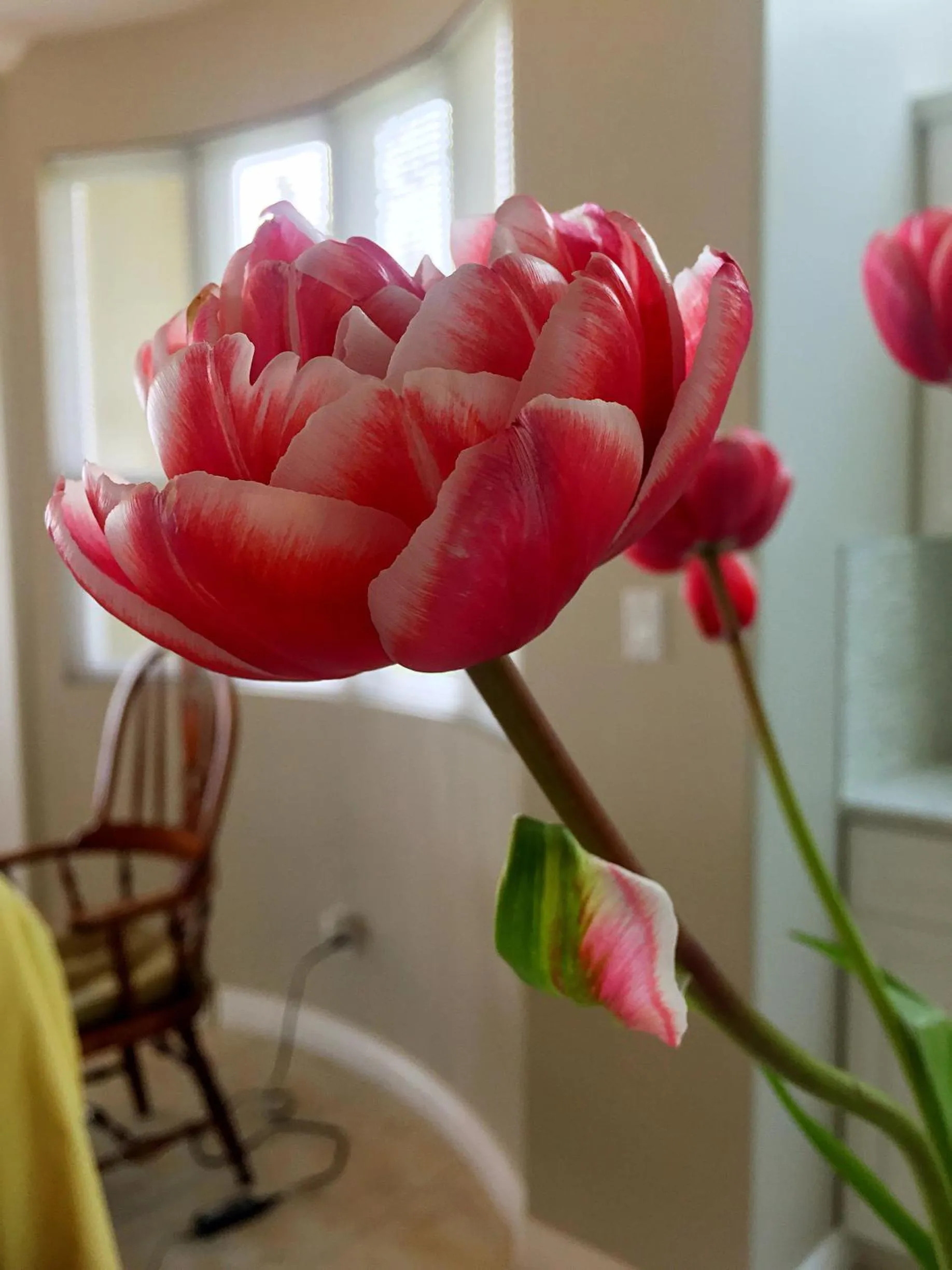 Other in Star of the Sea guest house