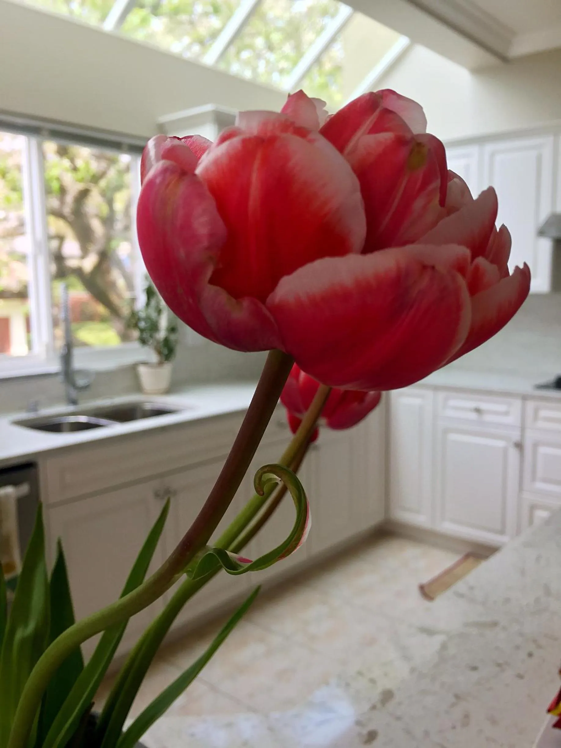Decorative detail in Star of the Sea guest house