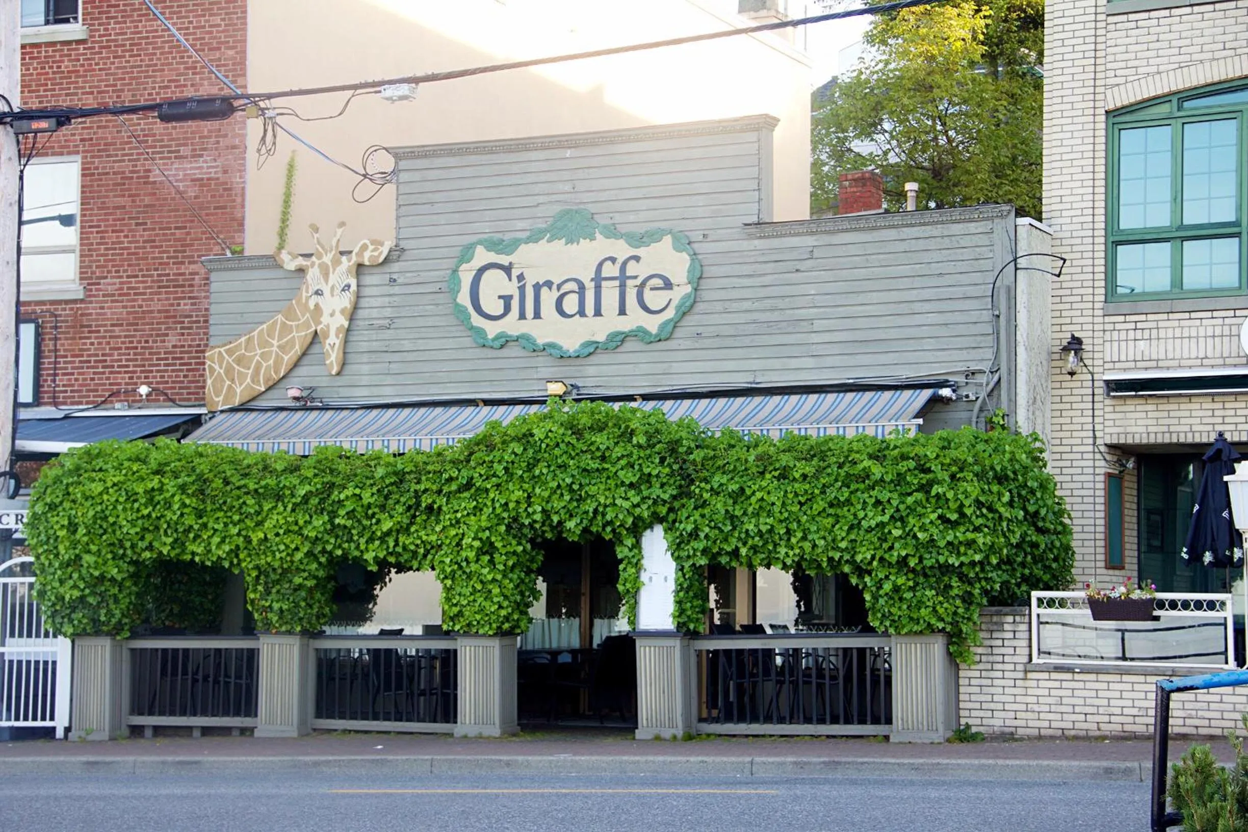 Restaurant/places to eat in Star of the Sea guest house